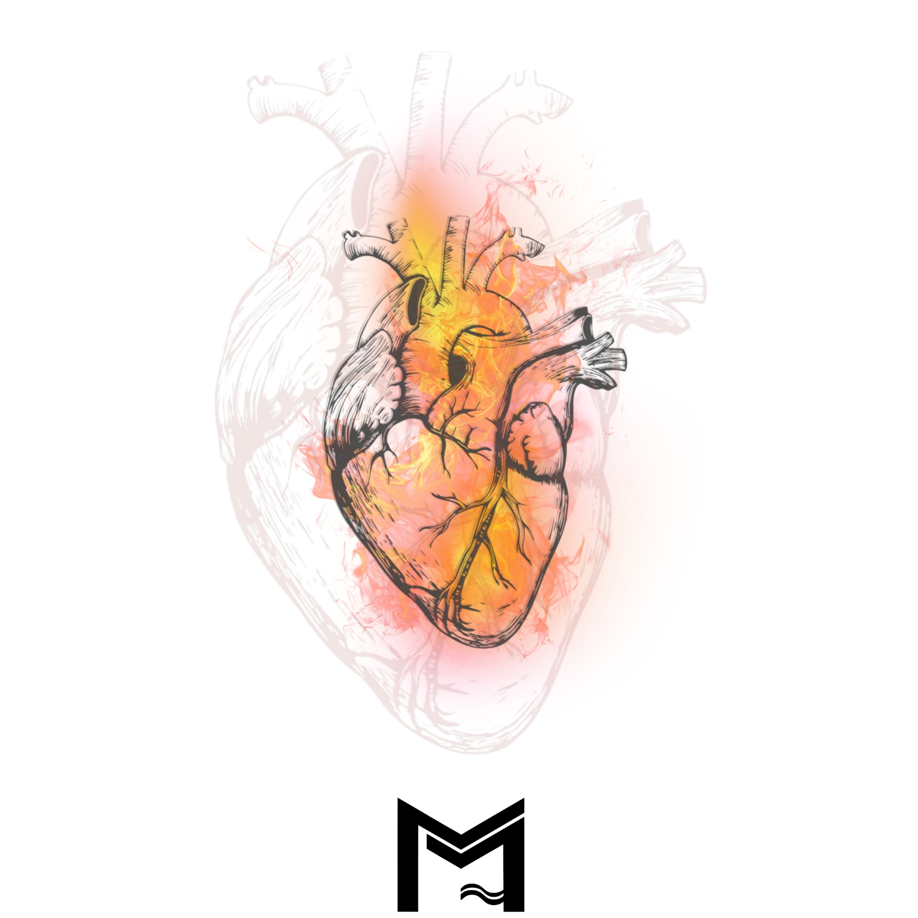 Temporada De Frutos Y Multiplicación | Predicas Cristianas 2026
