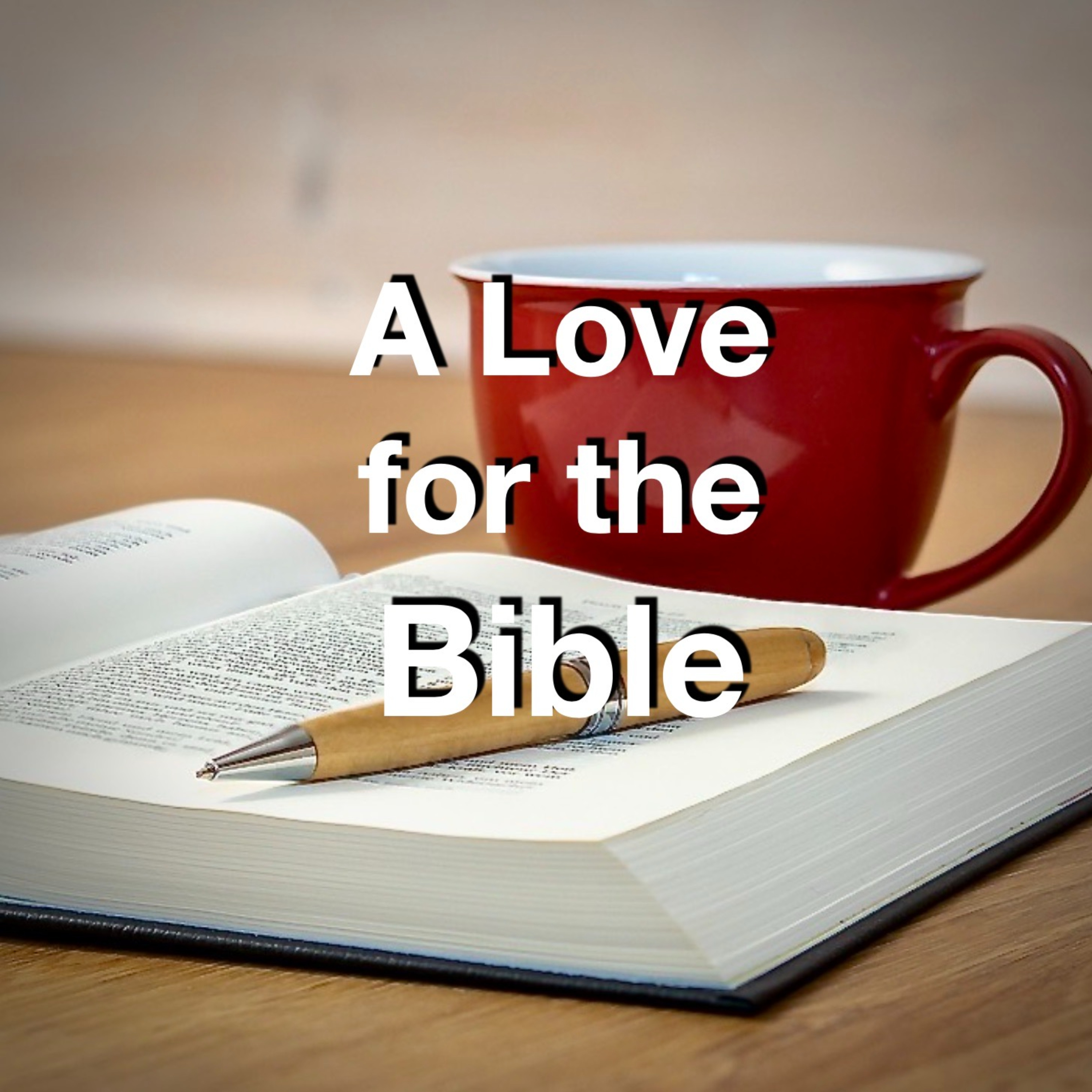 A Love For the Bible