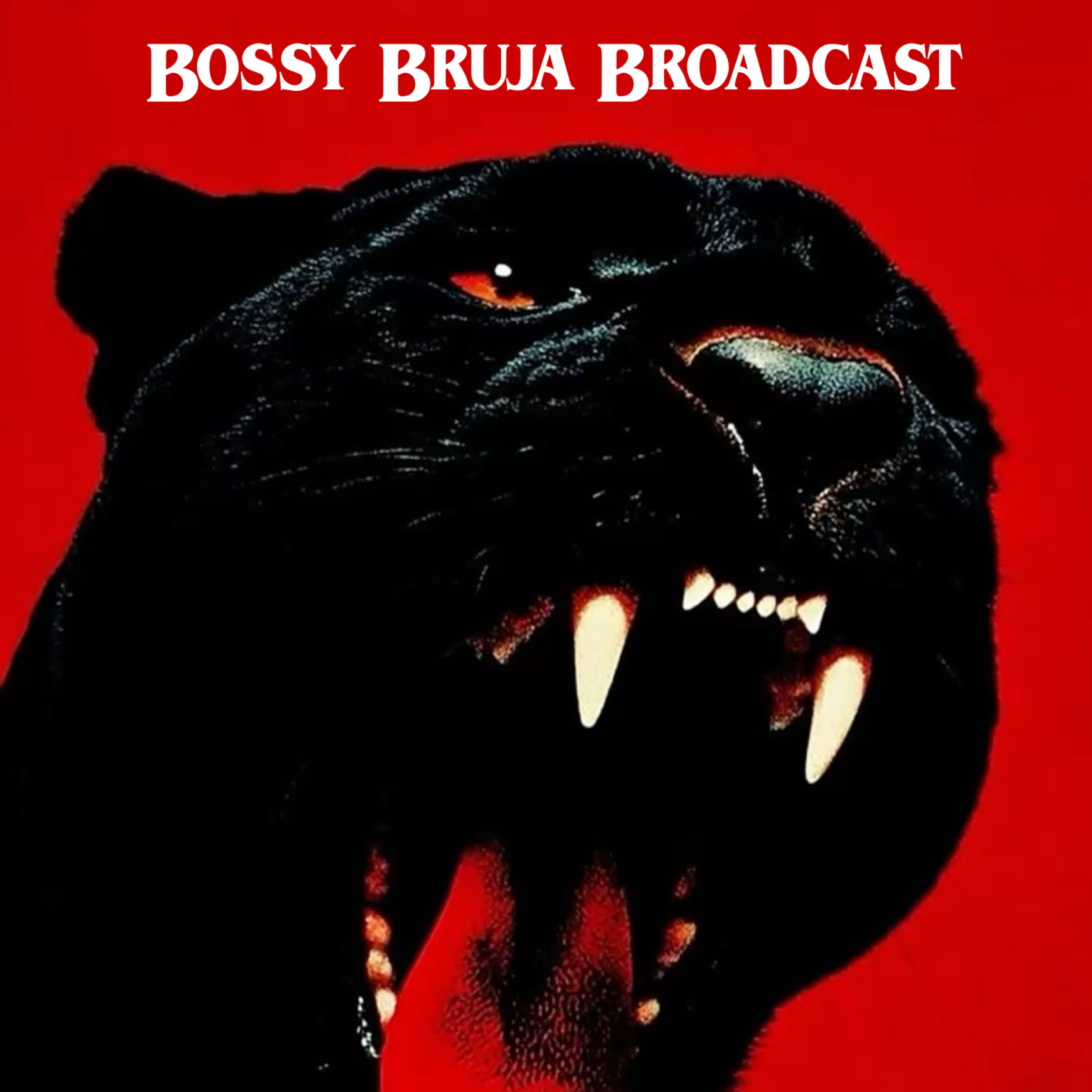 Bossy Bruja Broadcast