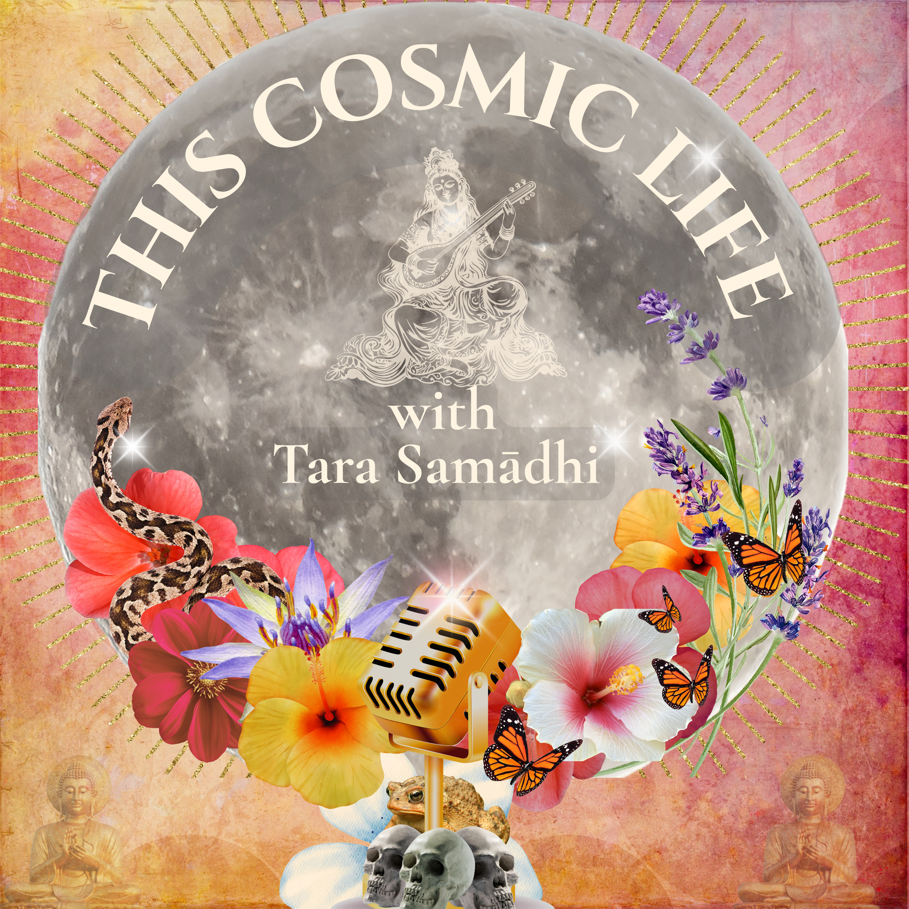 The Living Art of Storytelling ✧ with Jill Olesker EP | 23