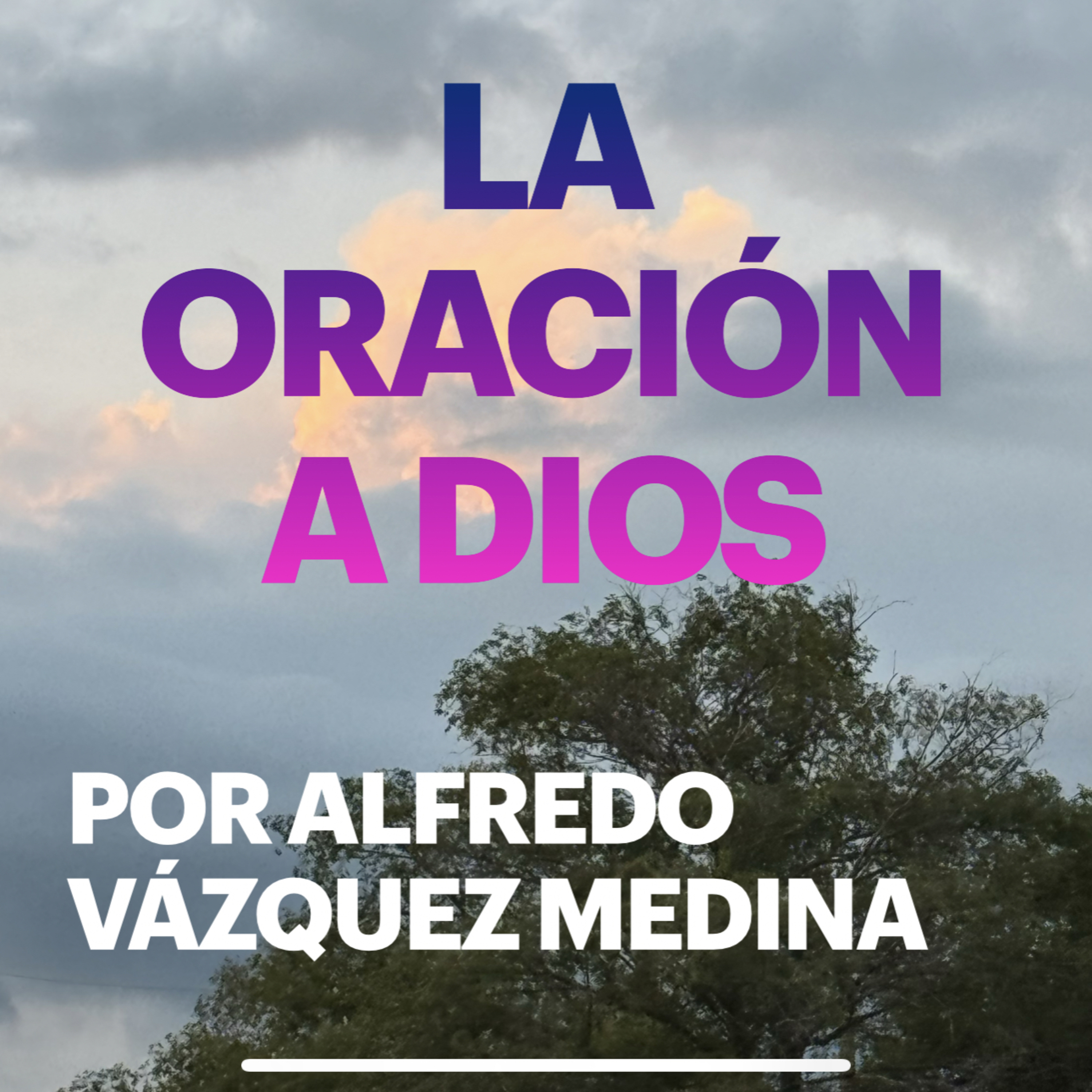 ALFREDO VAZQUEZ MEDINA