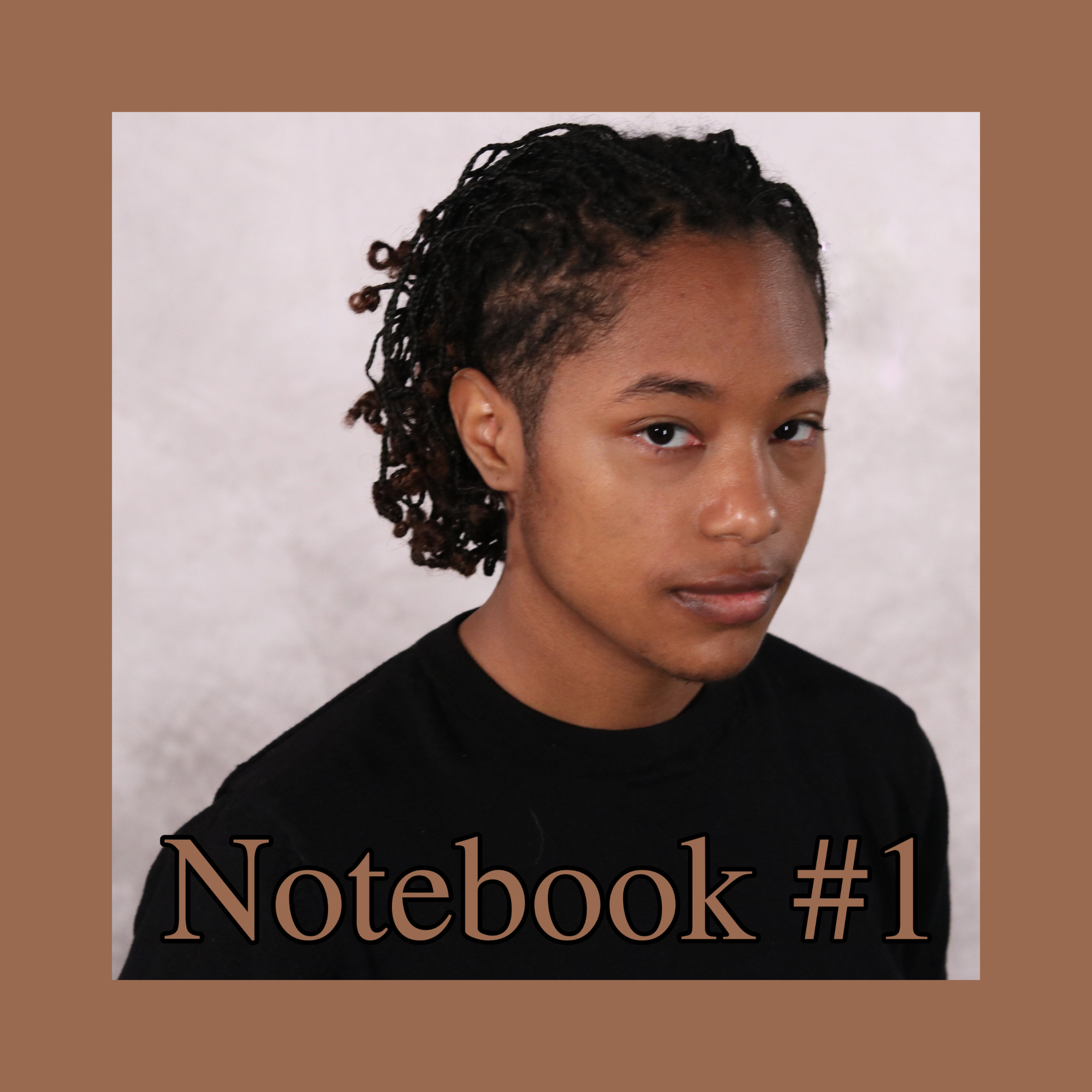 Notebook #1