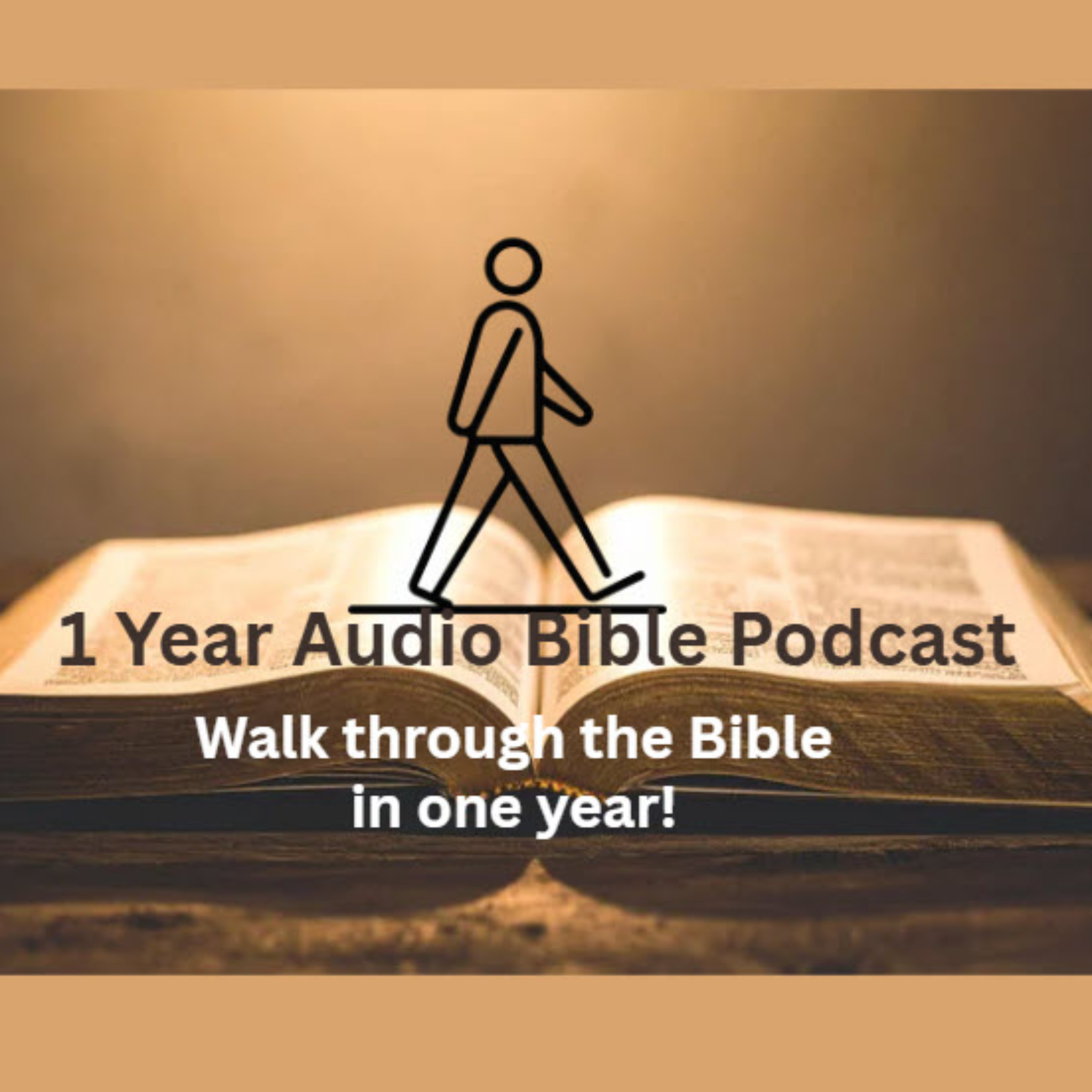 1 Year Audio Bible Podcast