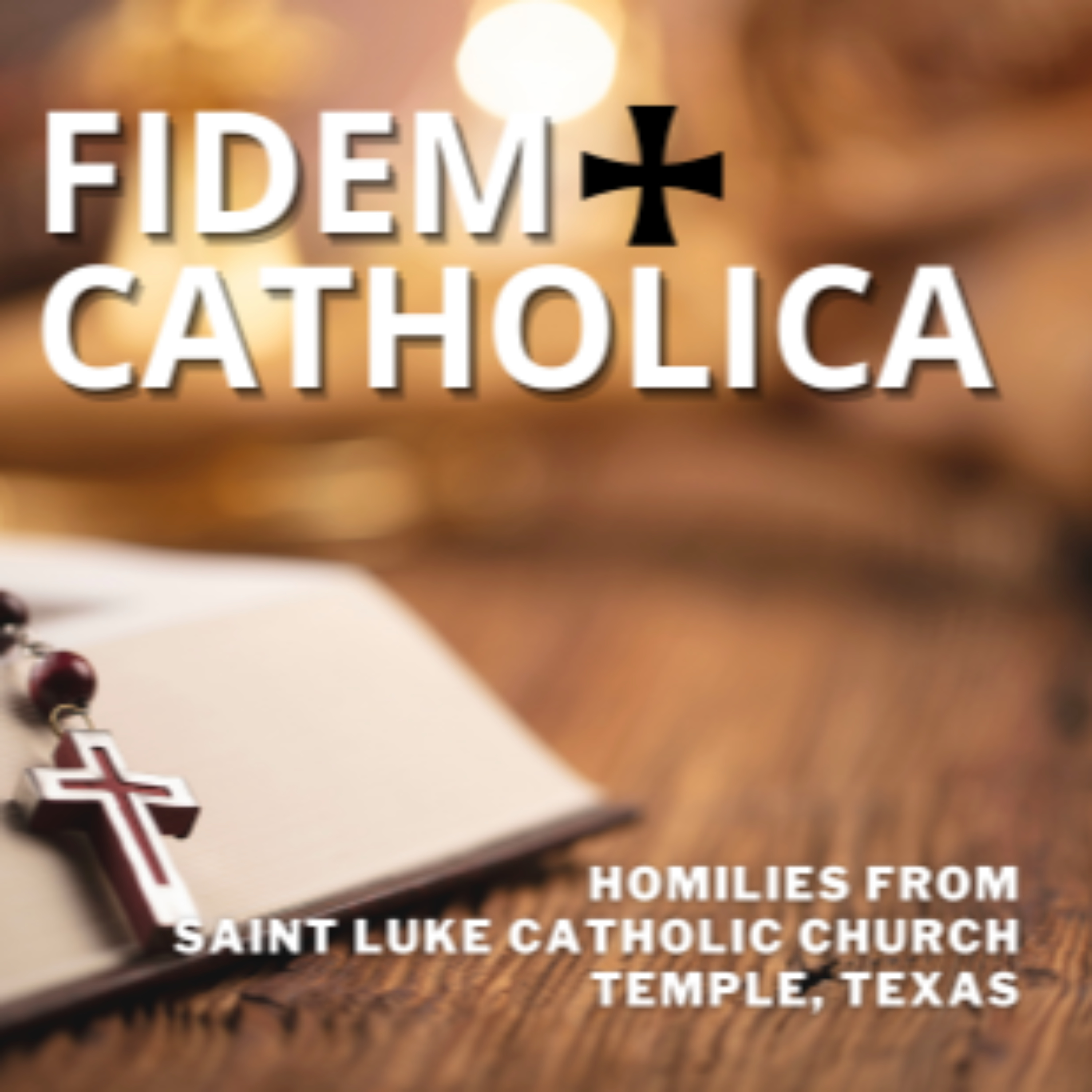 FIDEM CATHOLICA: Homilies from Father John Guzaldo