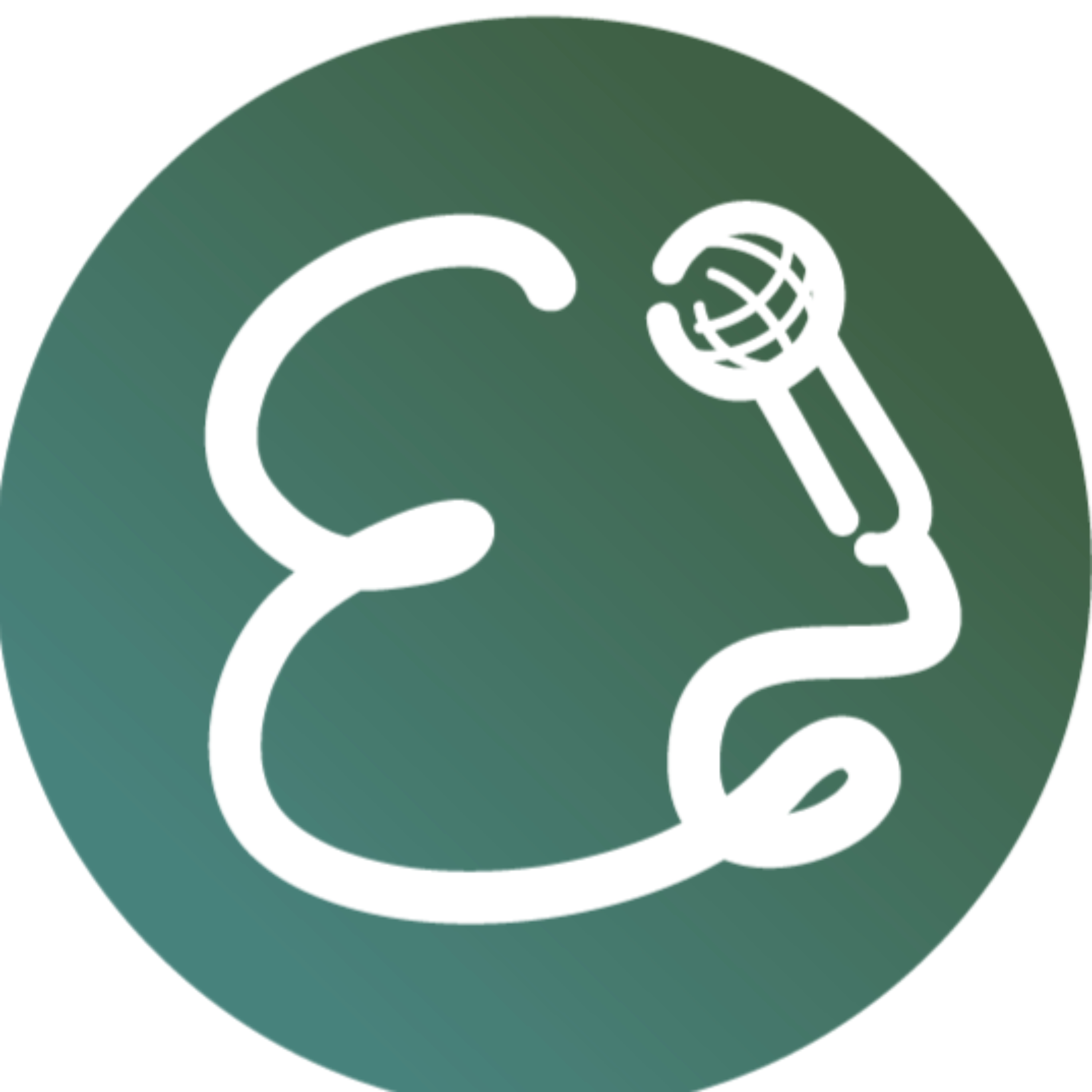 El Micro Ambiente