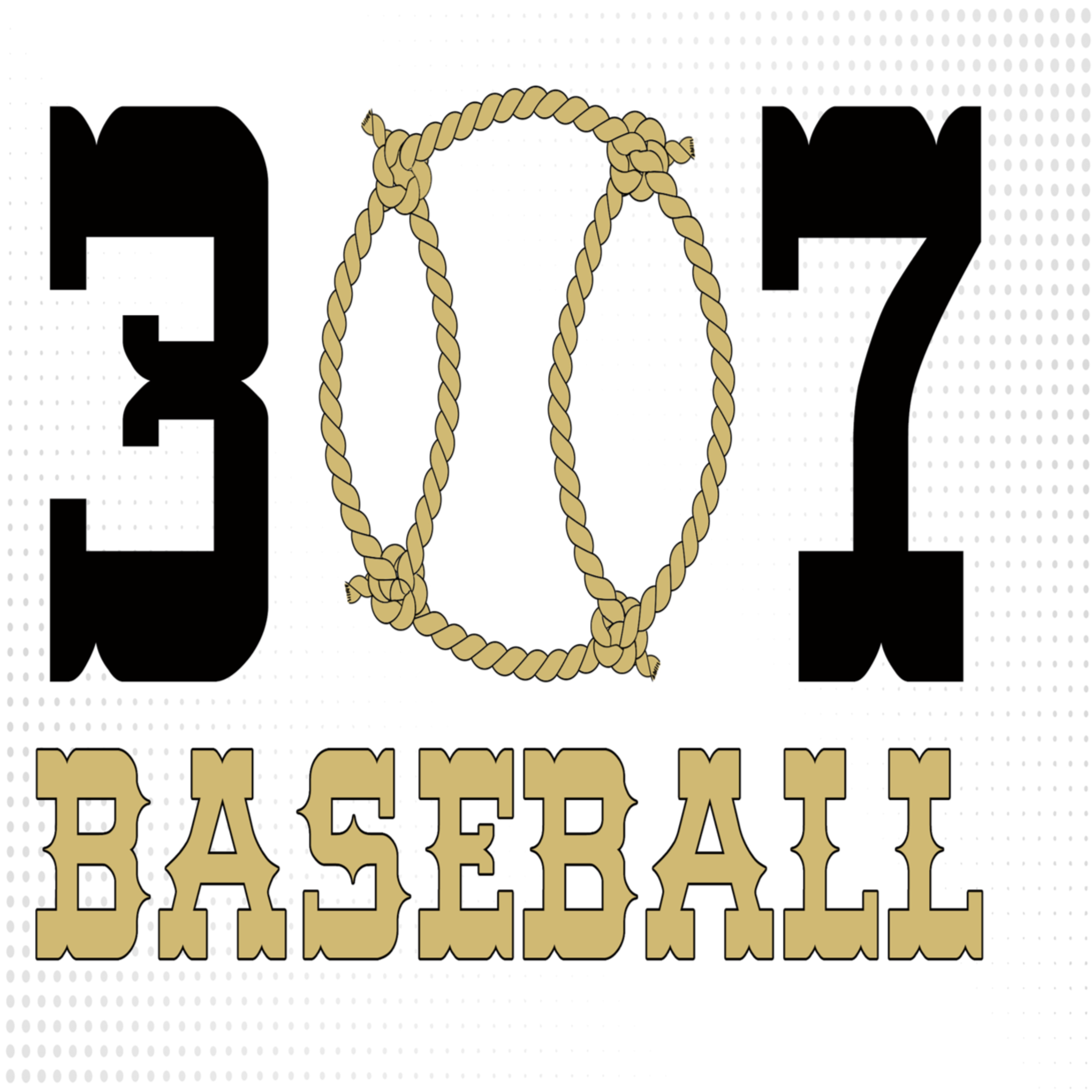 307 Baseball