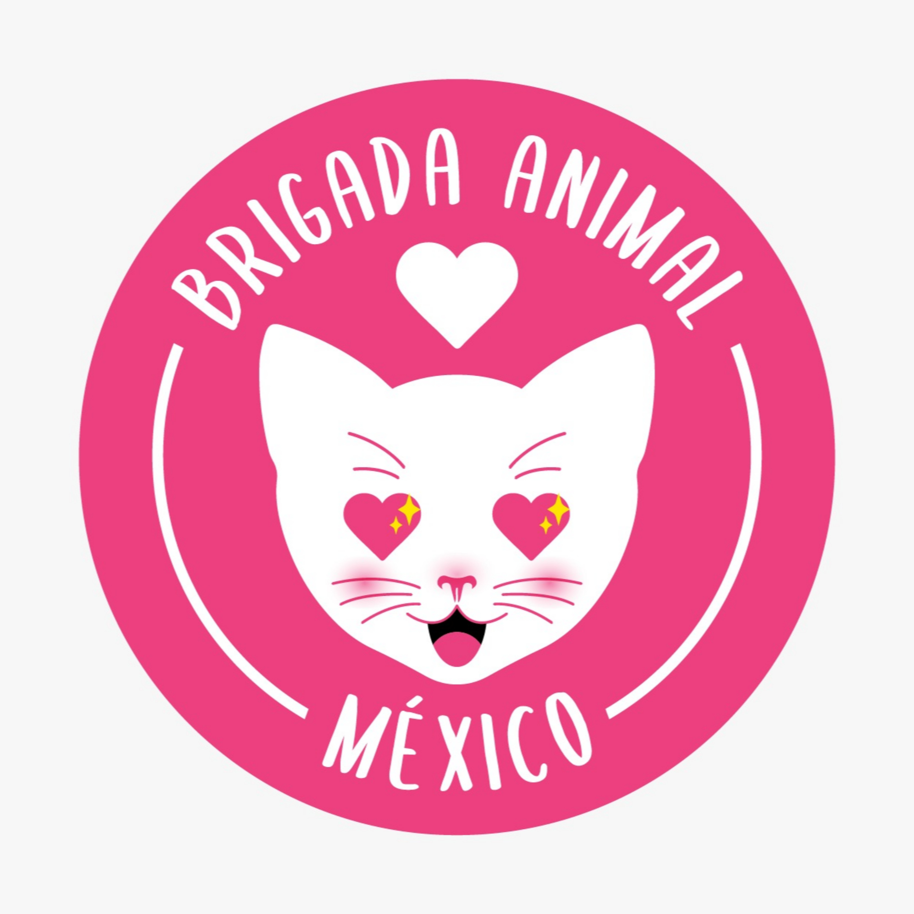 Brigada Animal México