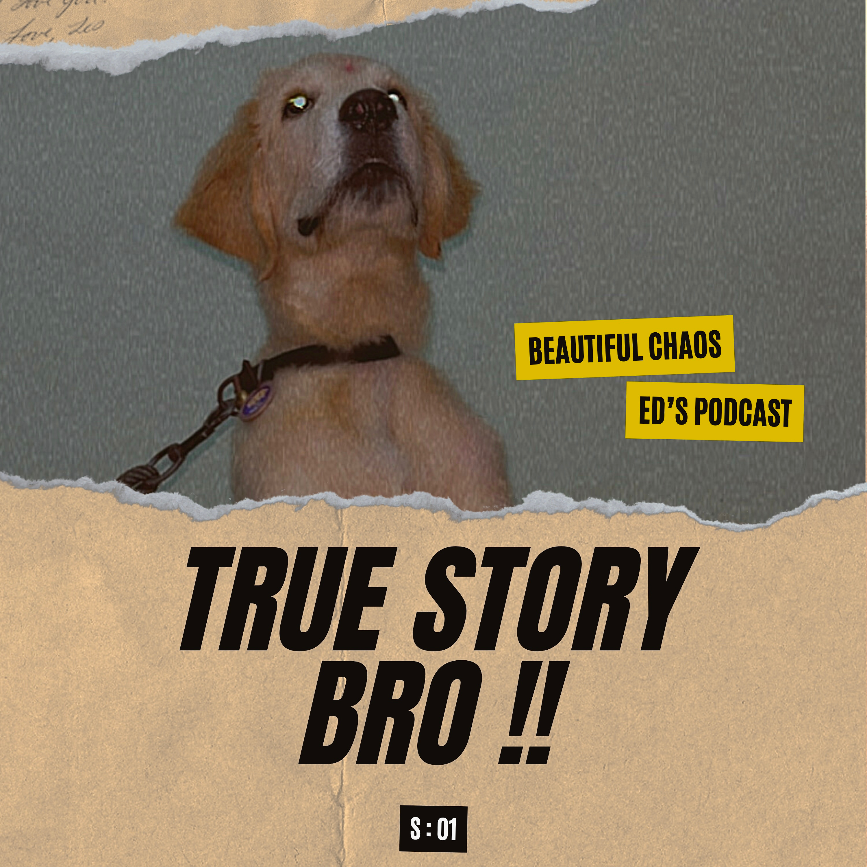 True Story Bro!! - ithu oru Ed Podcast ( Tanglish )
