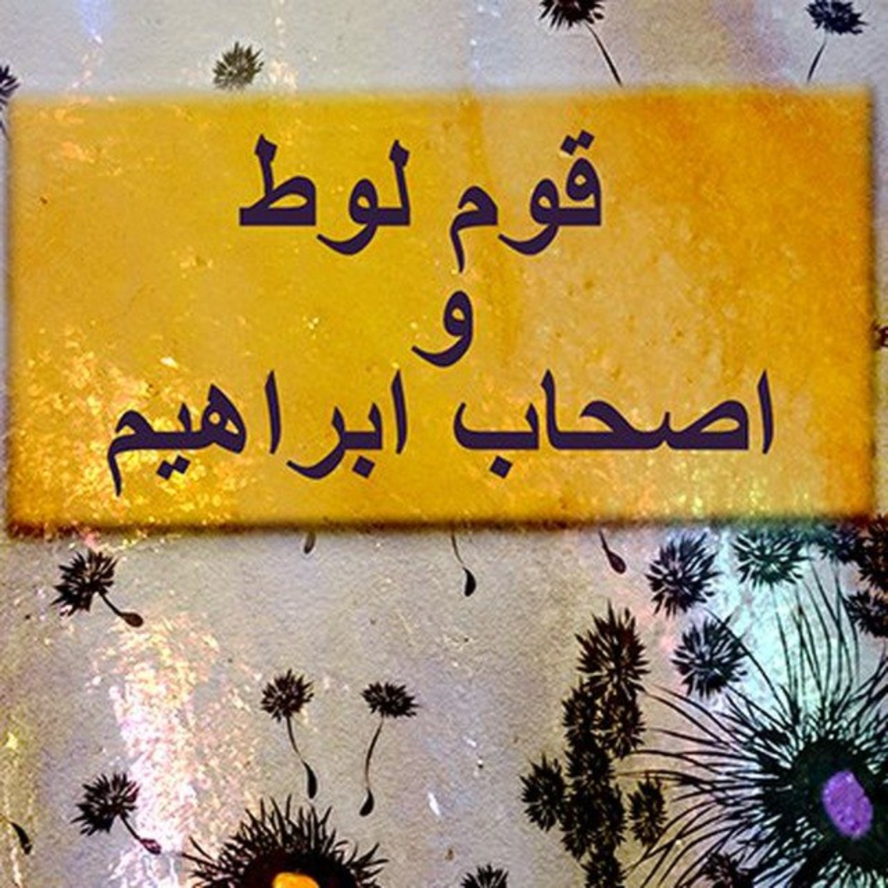kayvan kaboli