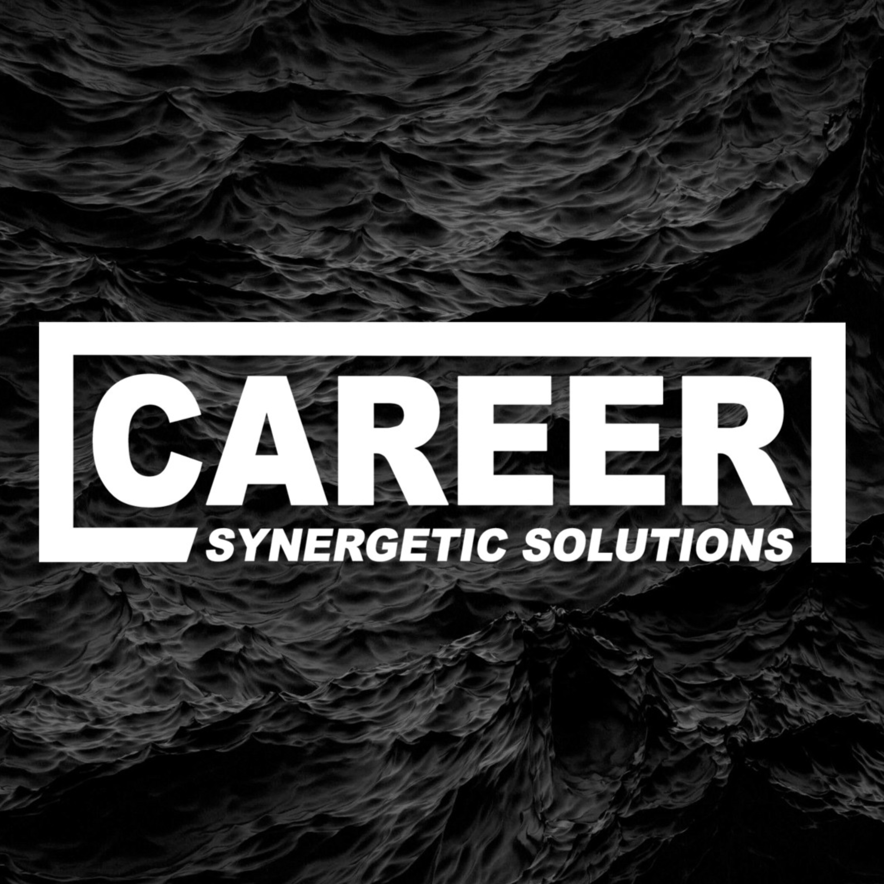 CAREER SYNERGETIC