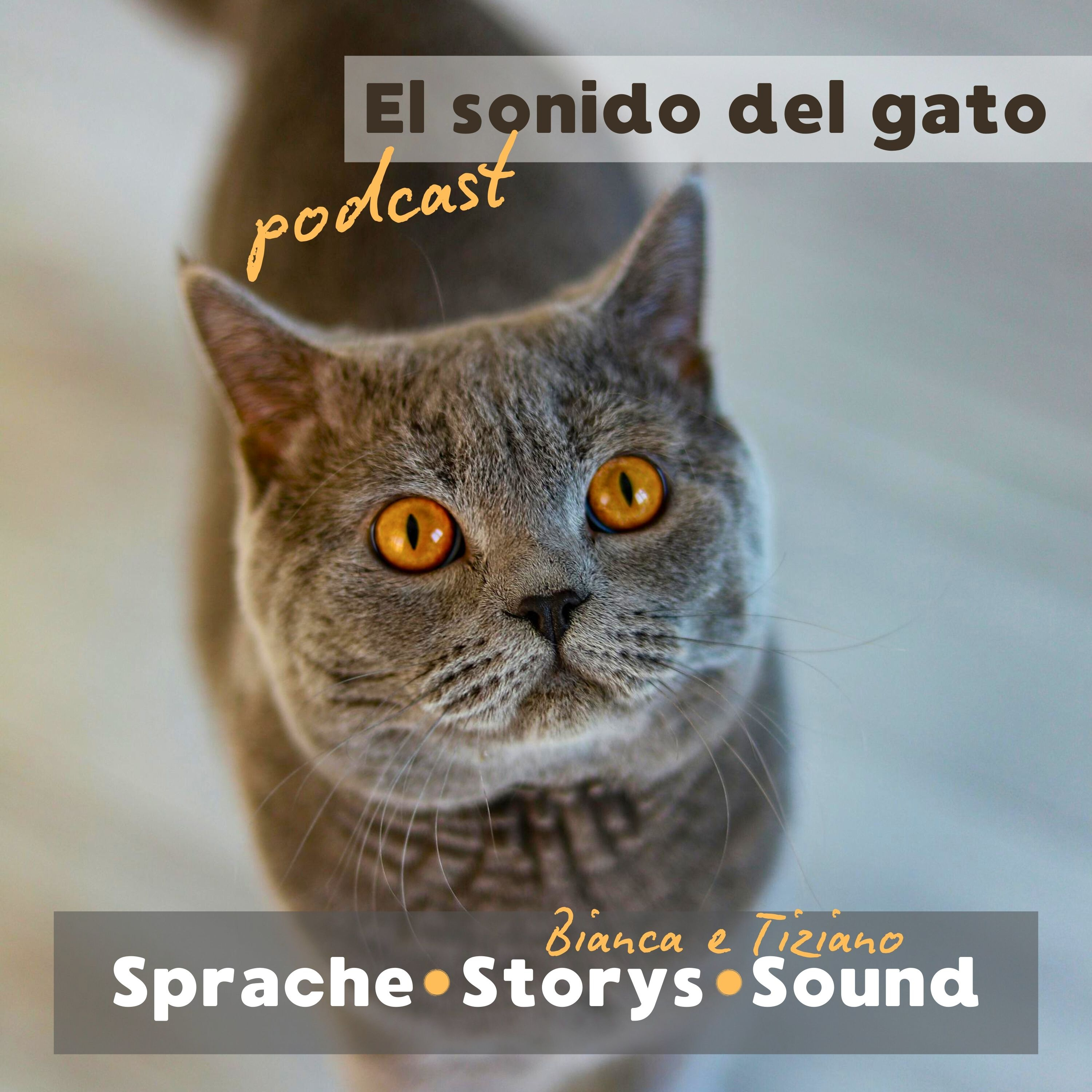 El sonido del gato | Sprache | Storys | Sound