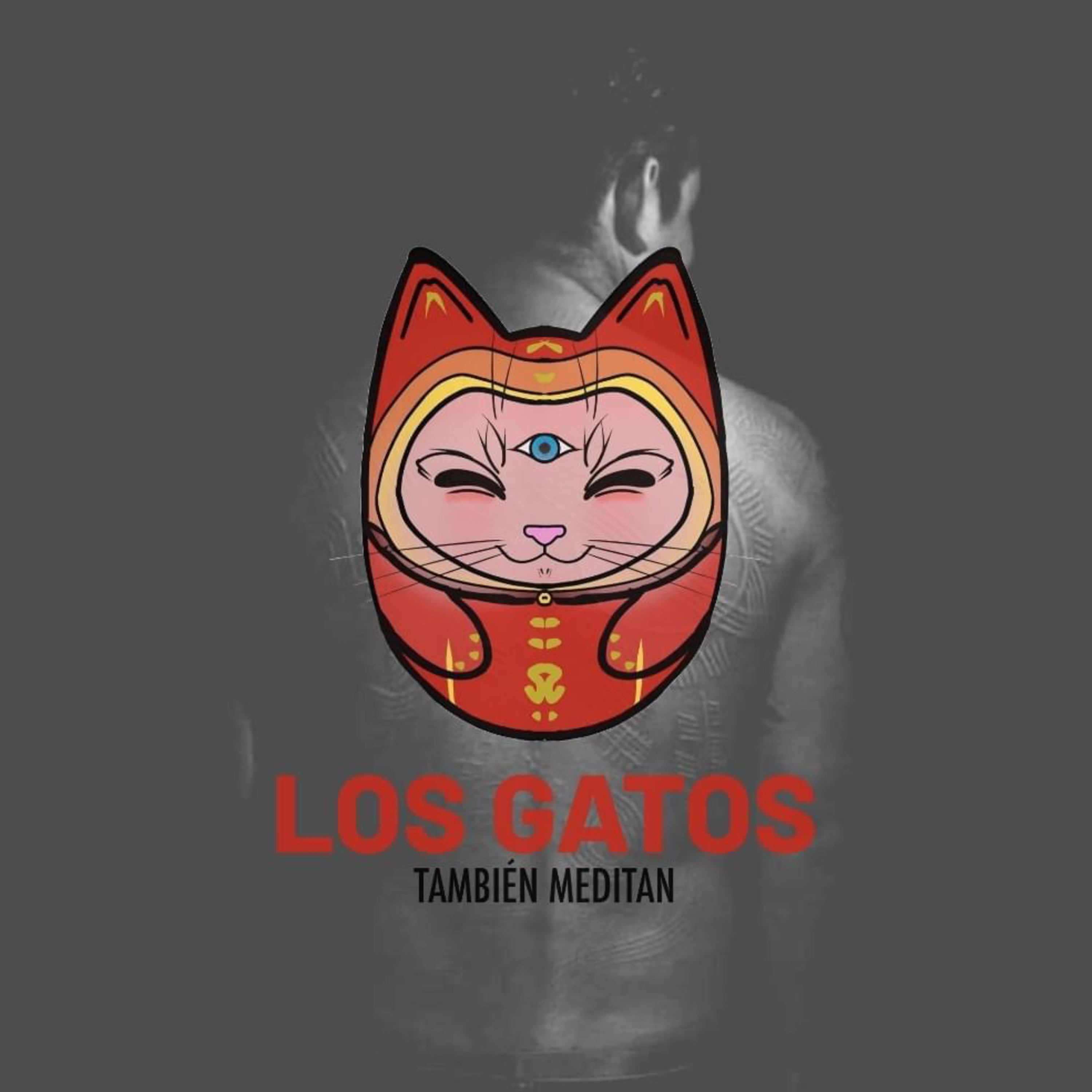 Los gatos también meditan