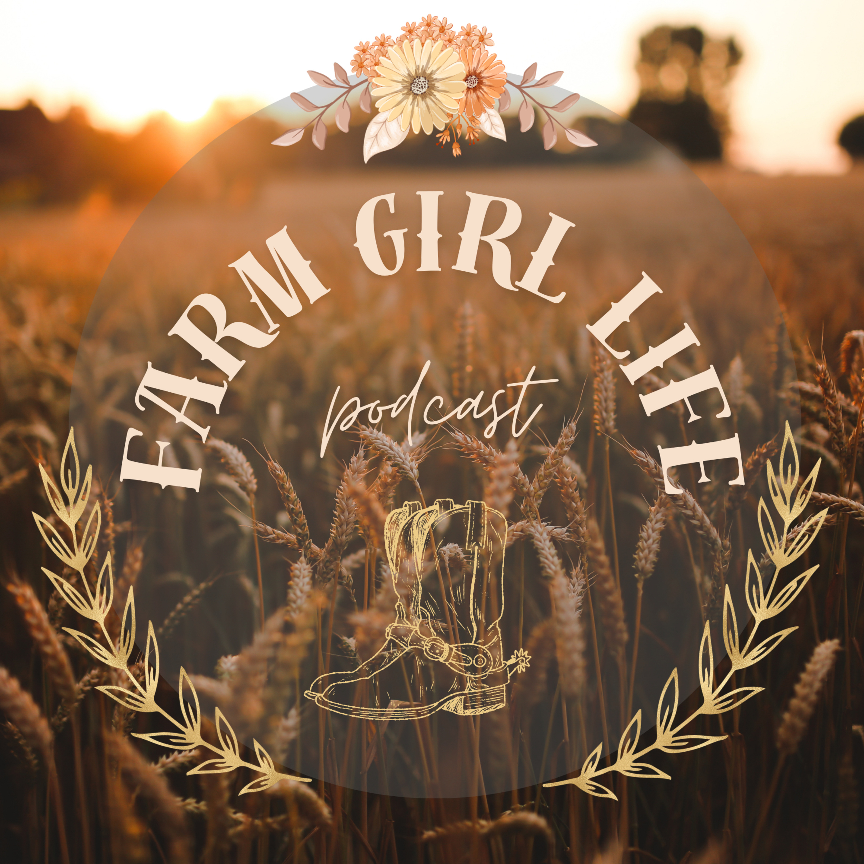 Episode 11: Part 2 - How Women in Ag are Making an Impact in the Agriculture Industry in the United States & the 2022 USDA Census of Agriculture episode artwork