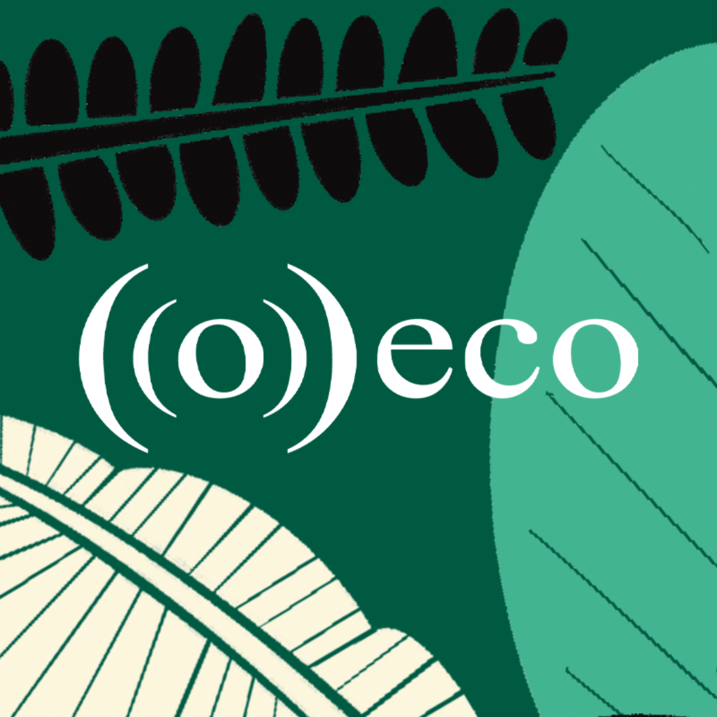 O Eco | Jornalismo Ambiental