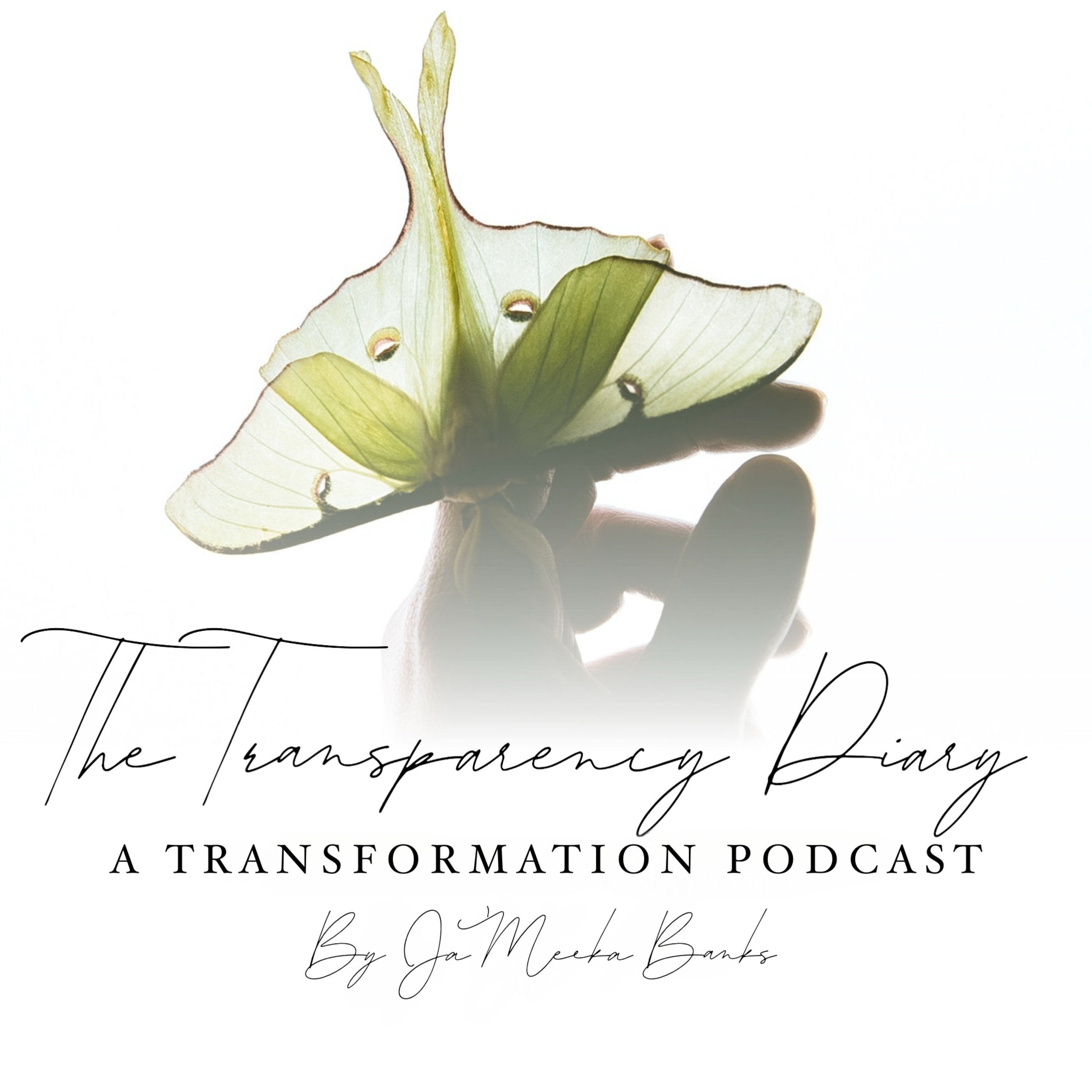 The Transparency Diary