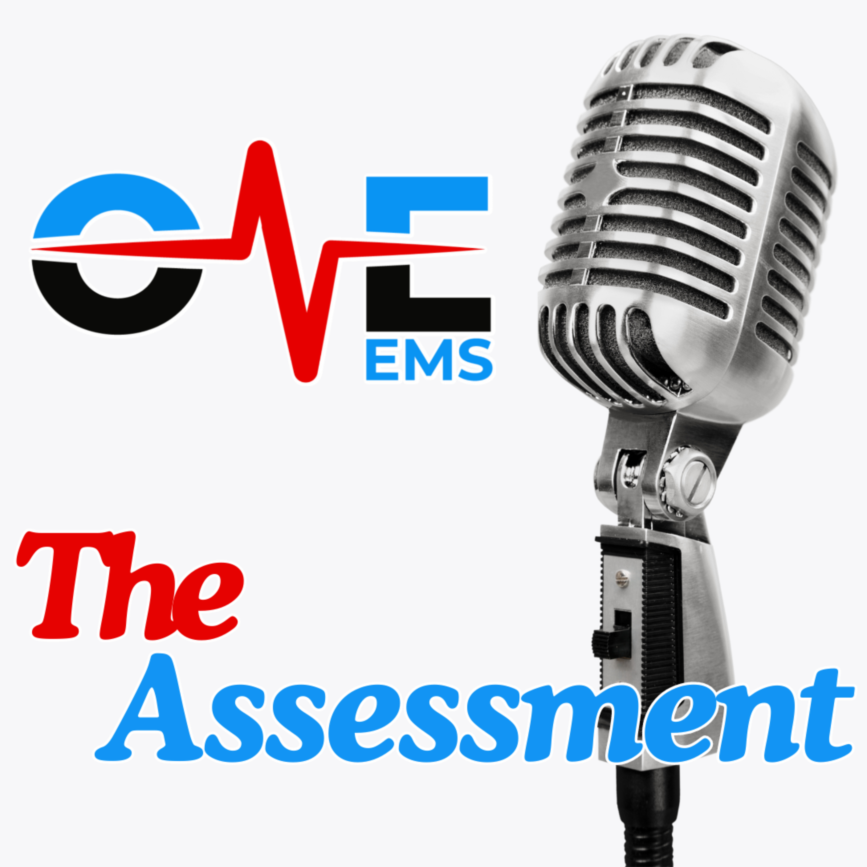 One EMS: The Assessment