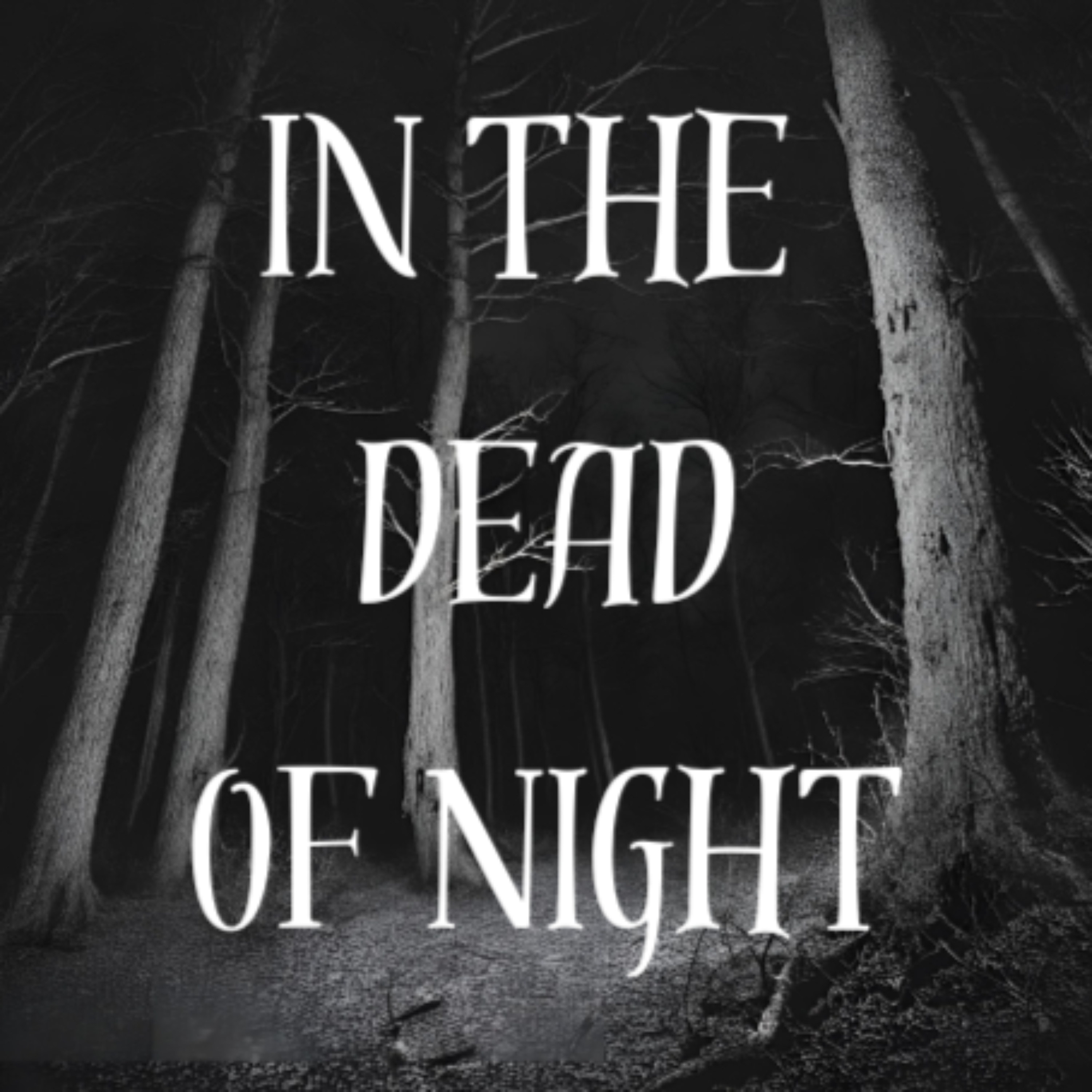 In The Dead of Night