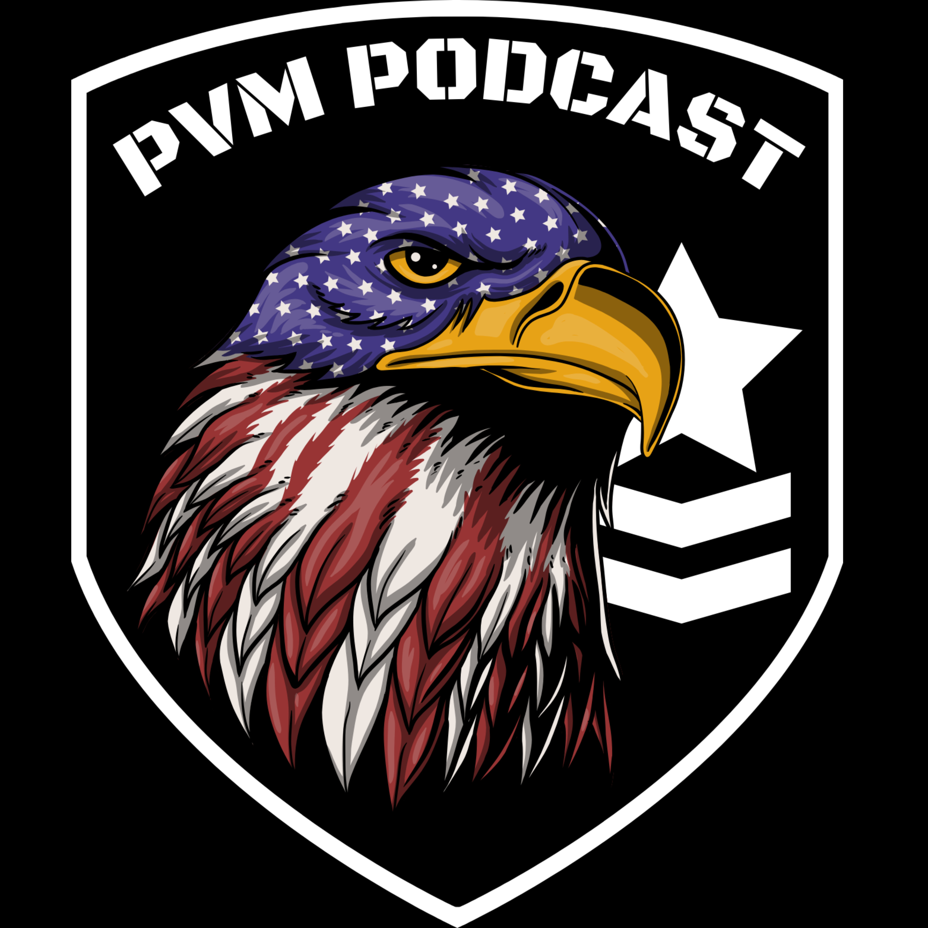 PVM Podcast Episode #2 episode artwork