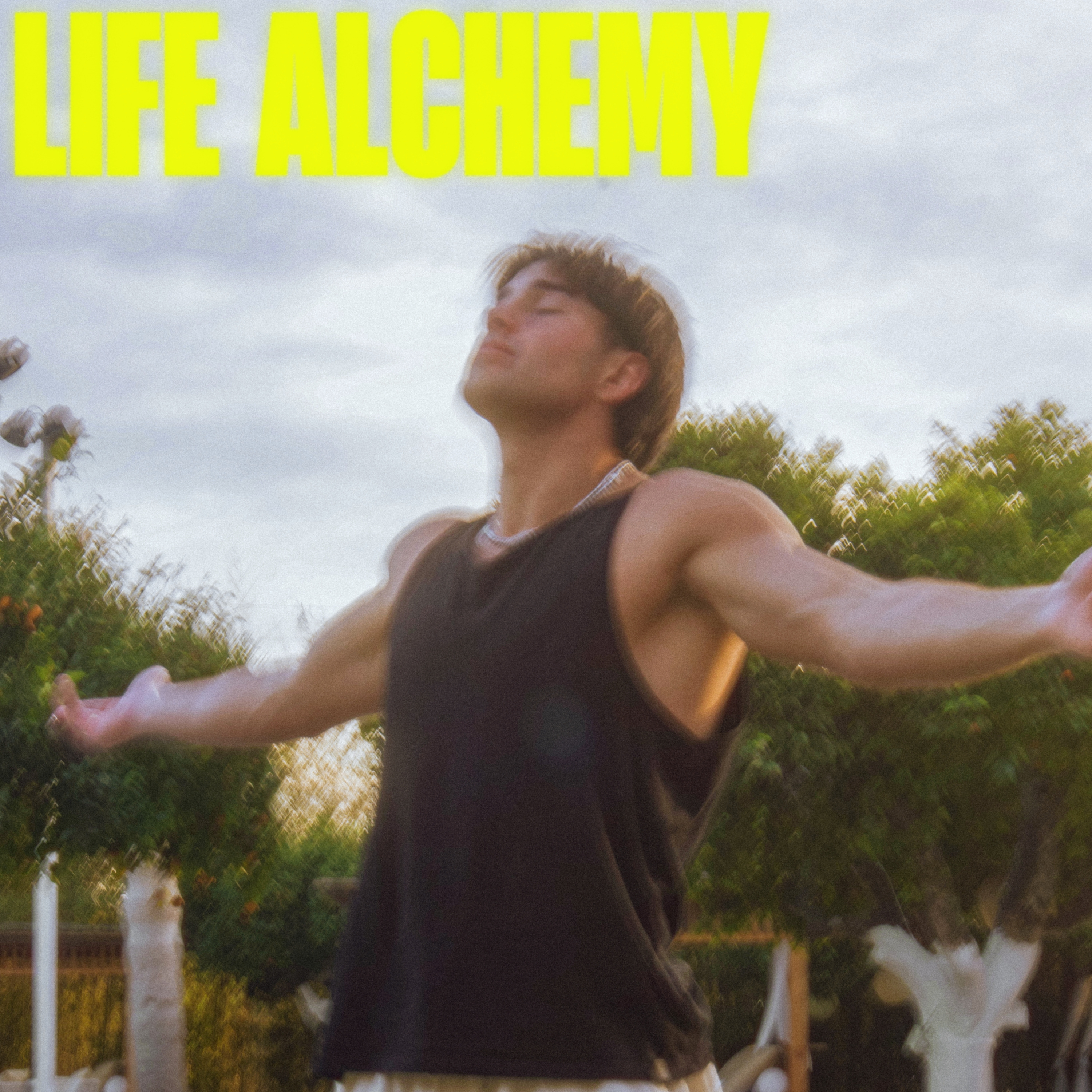 LIFE ALCHEMY