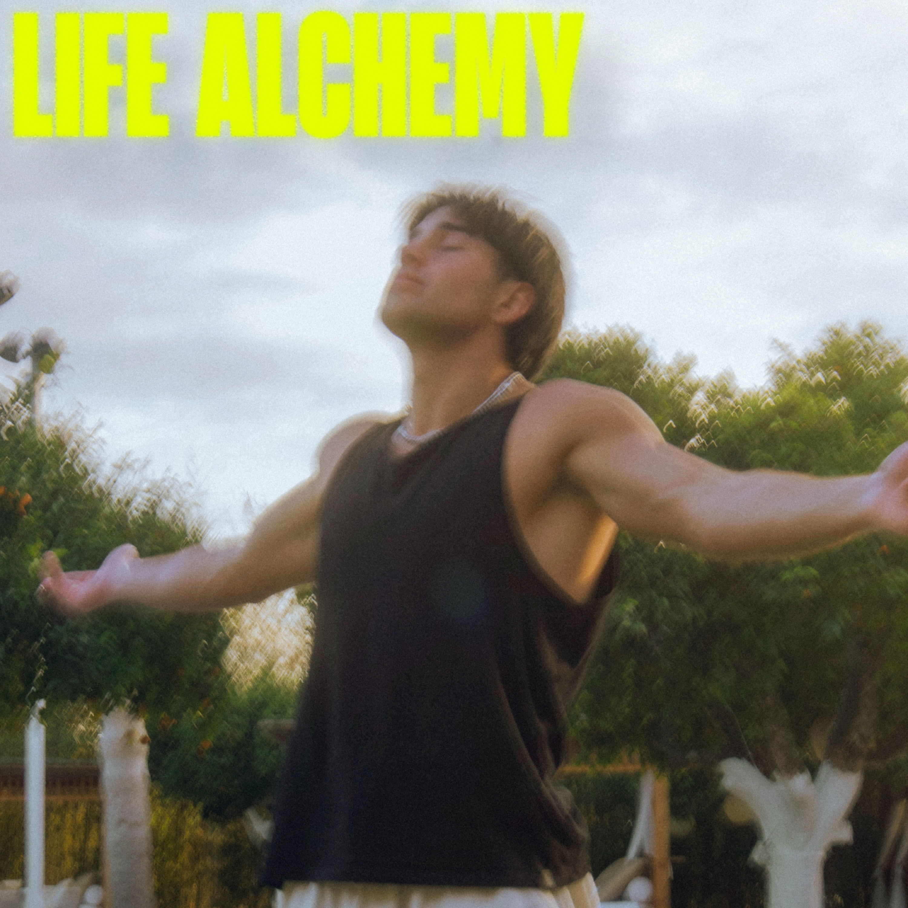 LIFE ALCHEMY