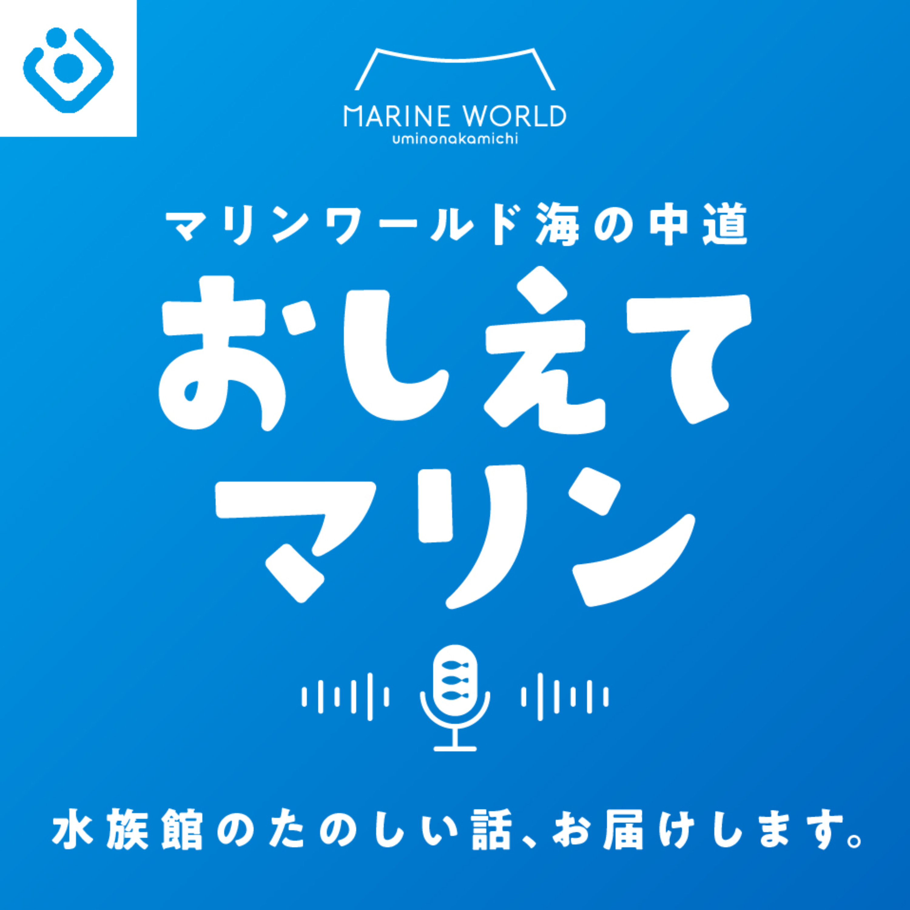 おしえてマリン
