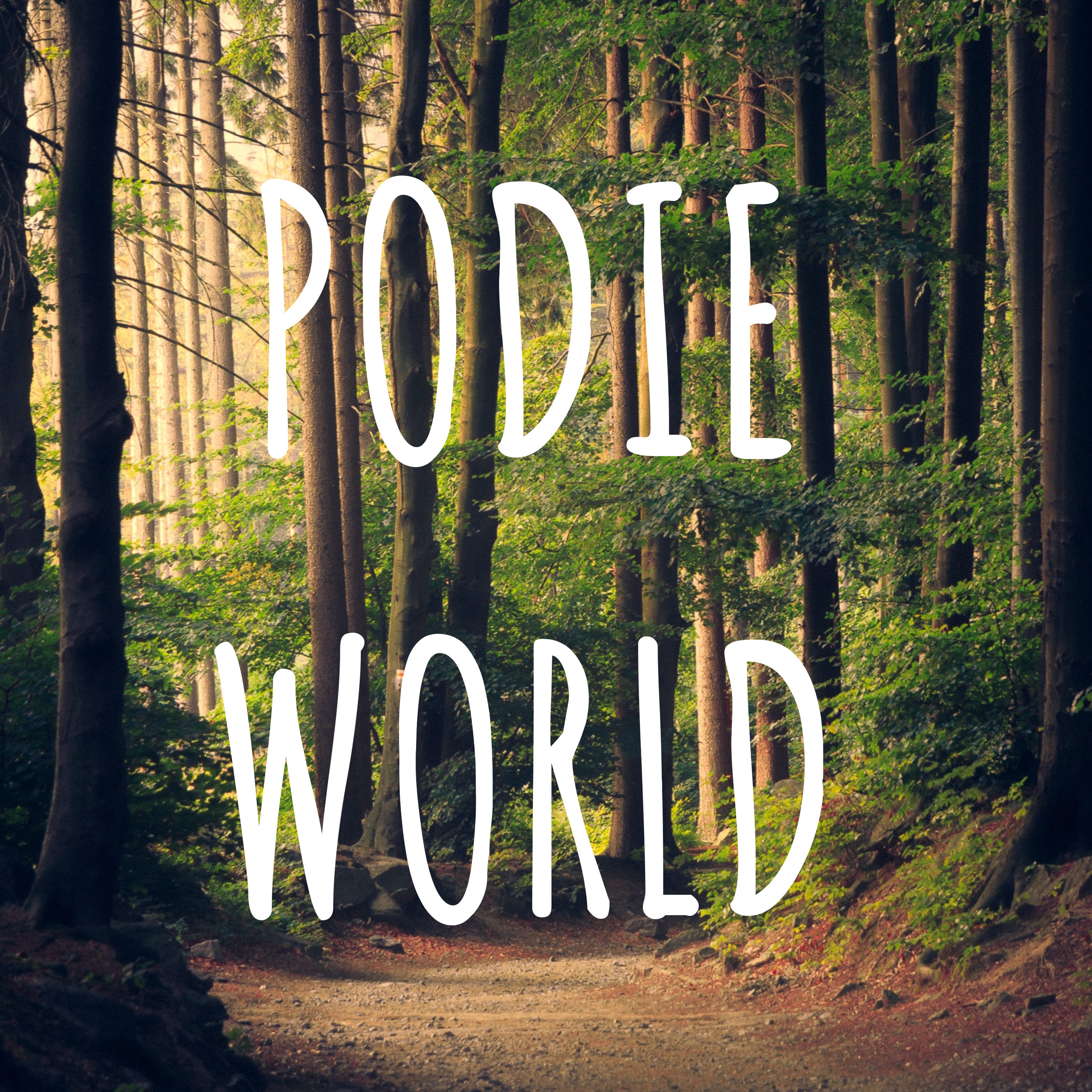 PODIE WORLD on African Forest Land Restoration