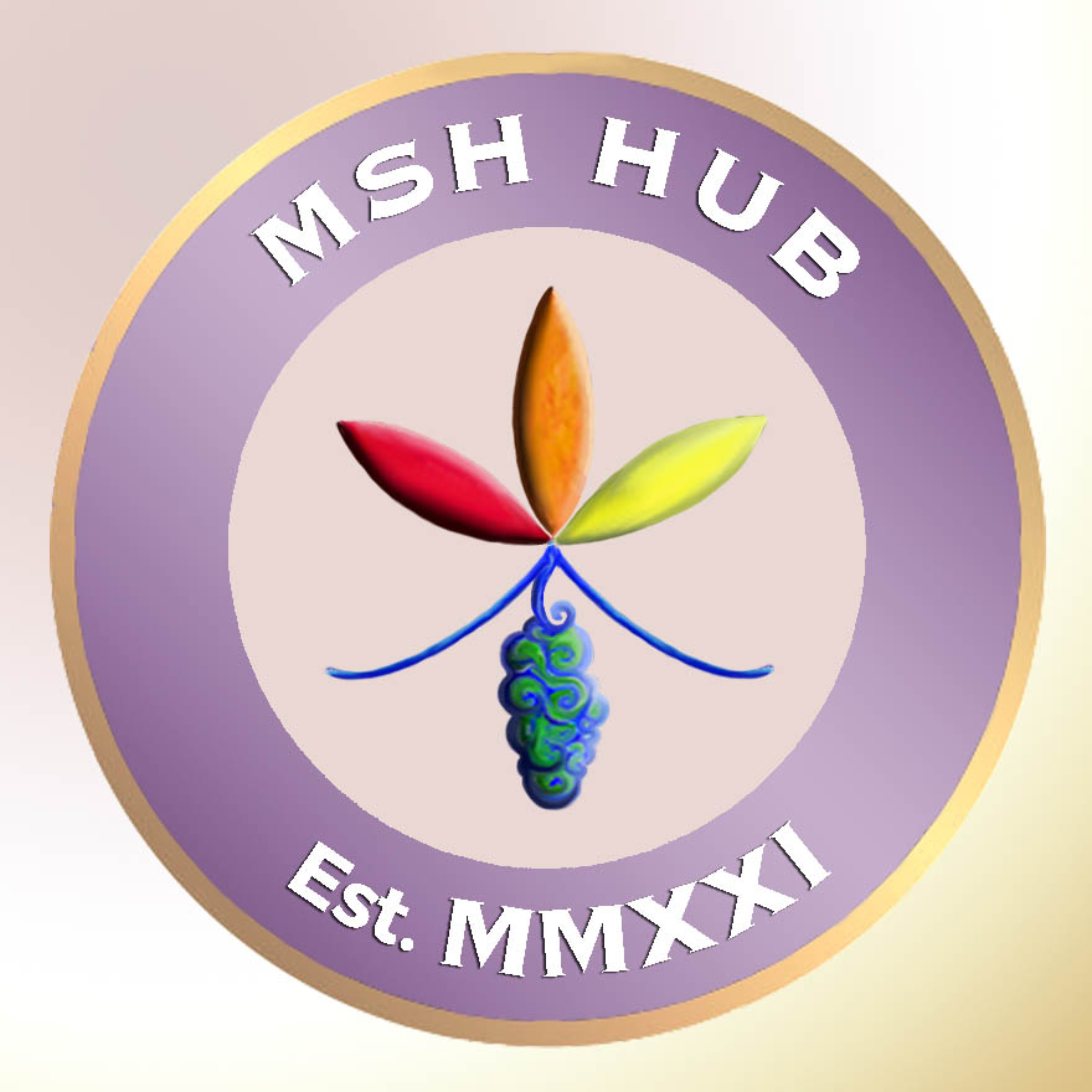 MultiSpectral Healing Hub