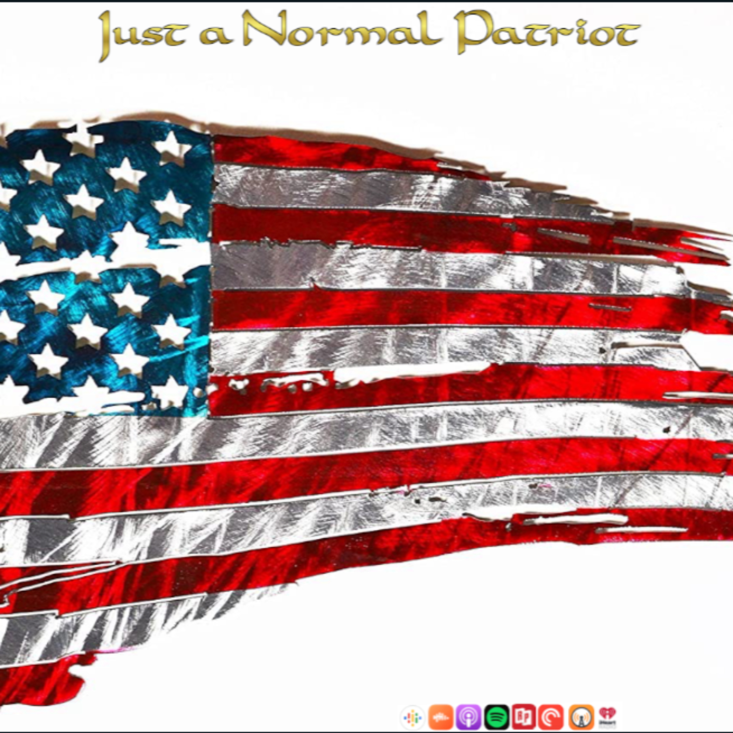 Just a Normal Patriot artwork