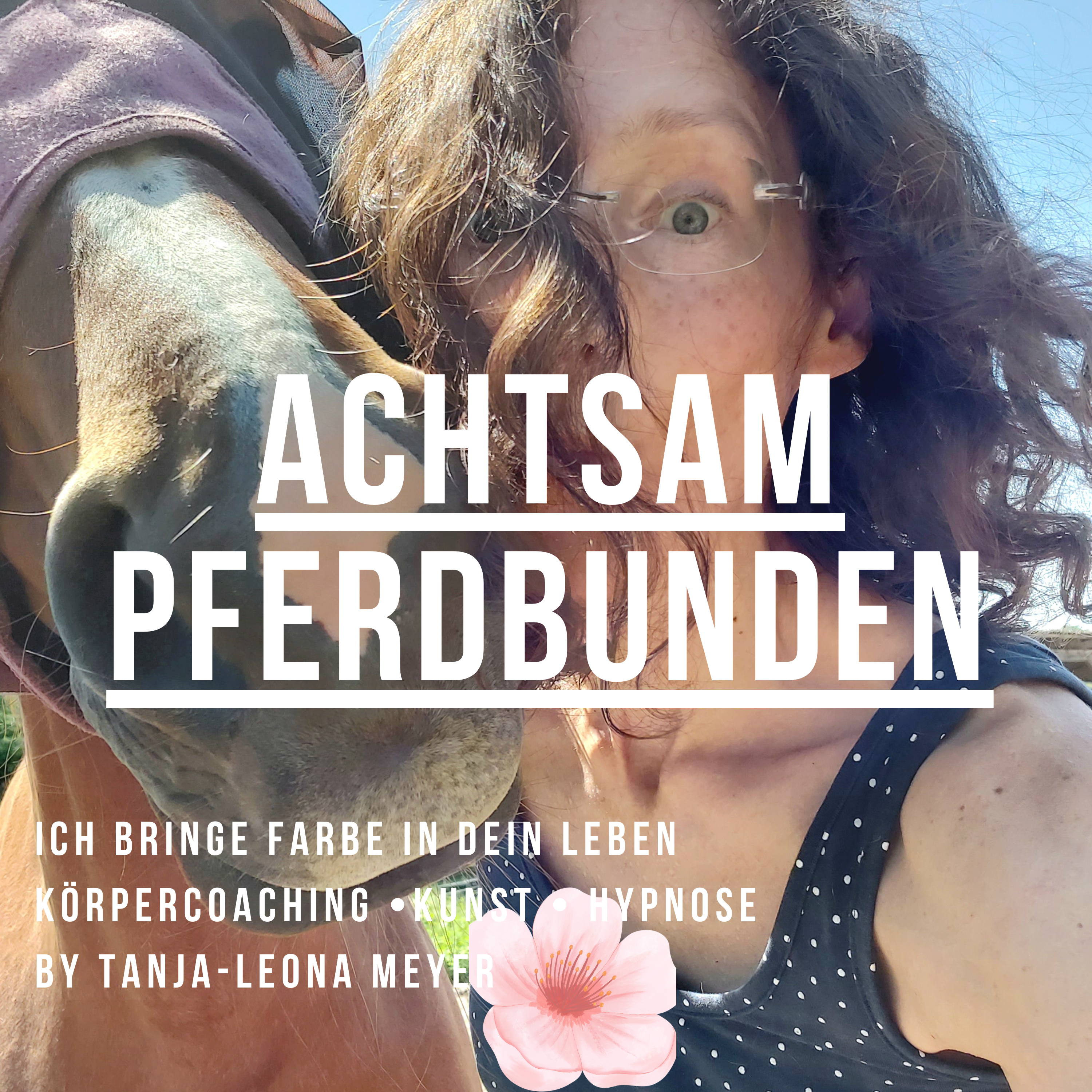 Achtsam Pferdbunden | Ich bringe Farbe in dein Leben!
