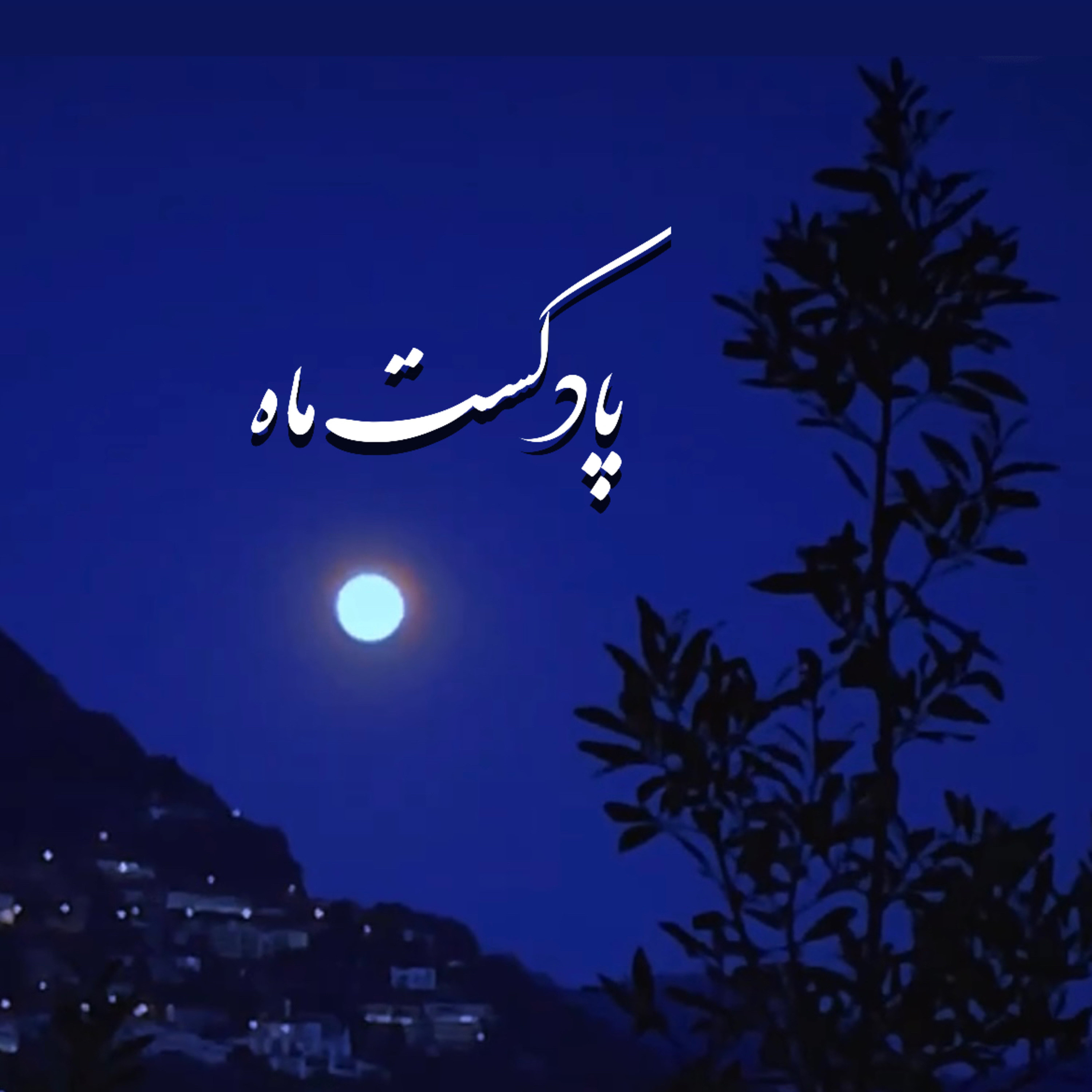 کاور مرز های بی پایان خیال