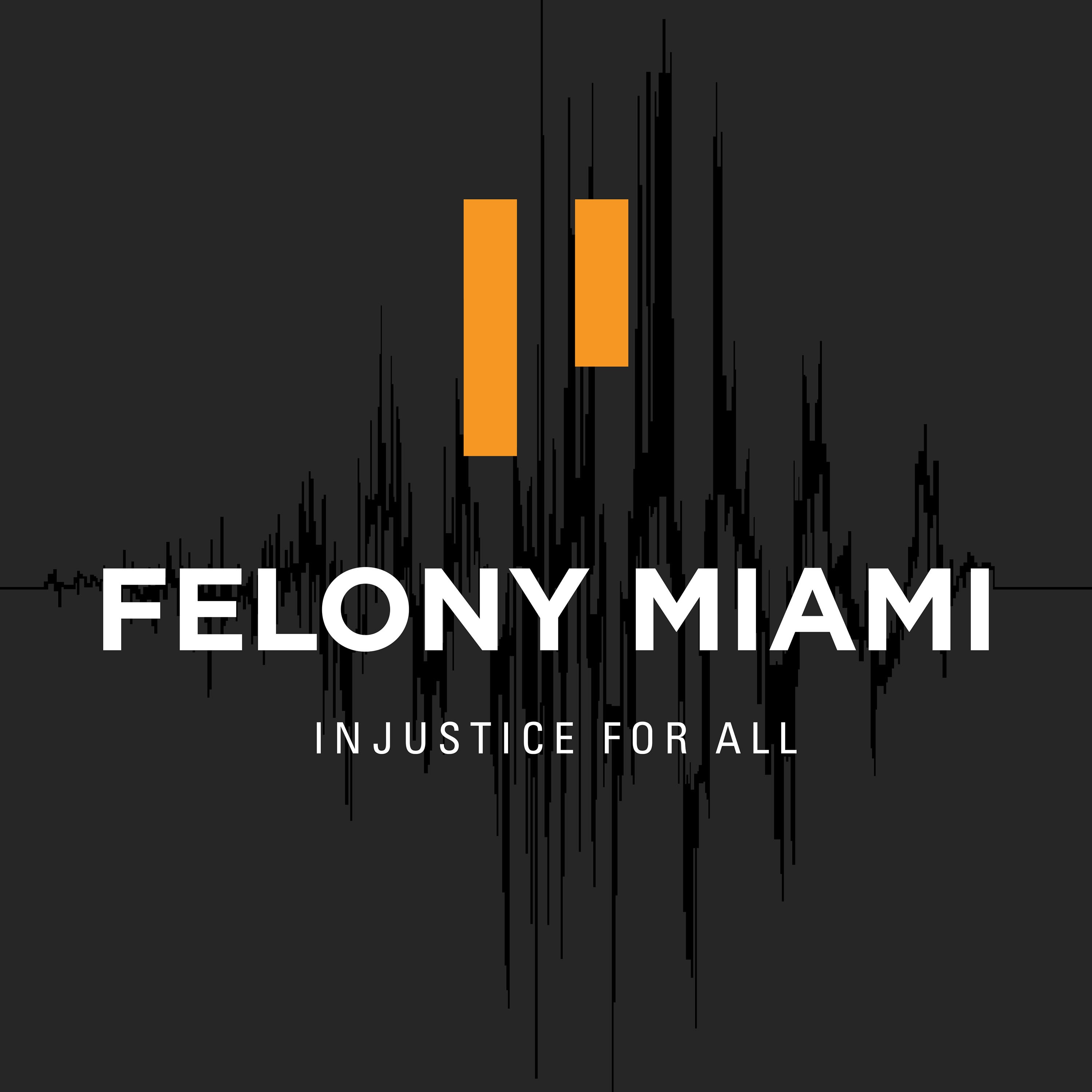 Theme from Felony miami