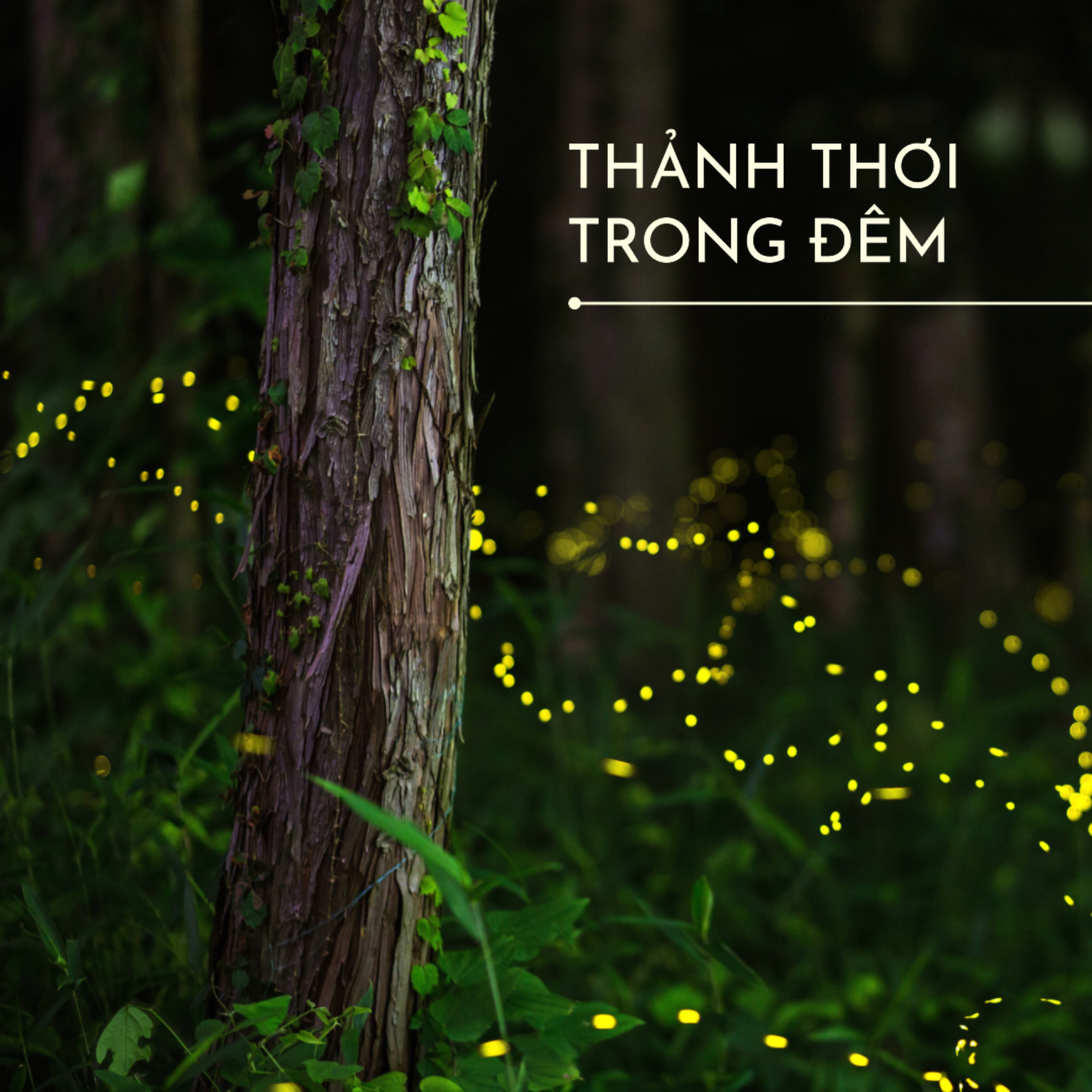 Thảnh Thơi Trong Đêm podcast artwork