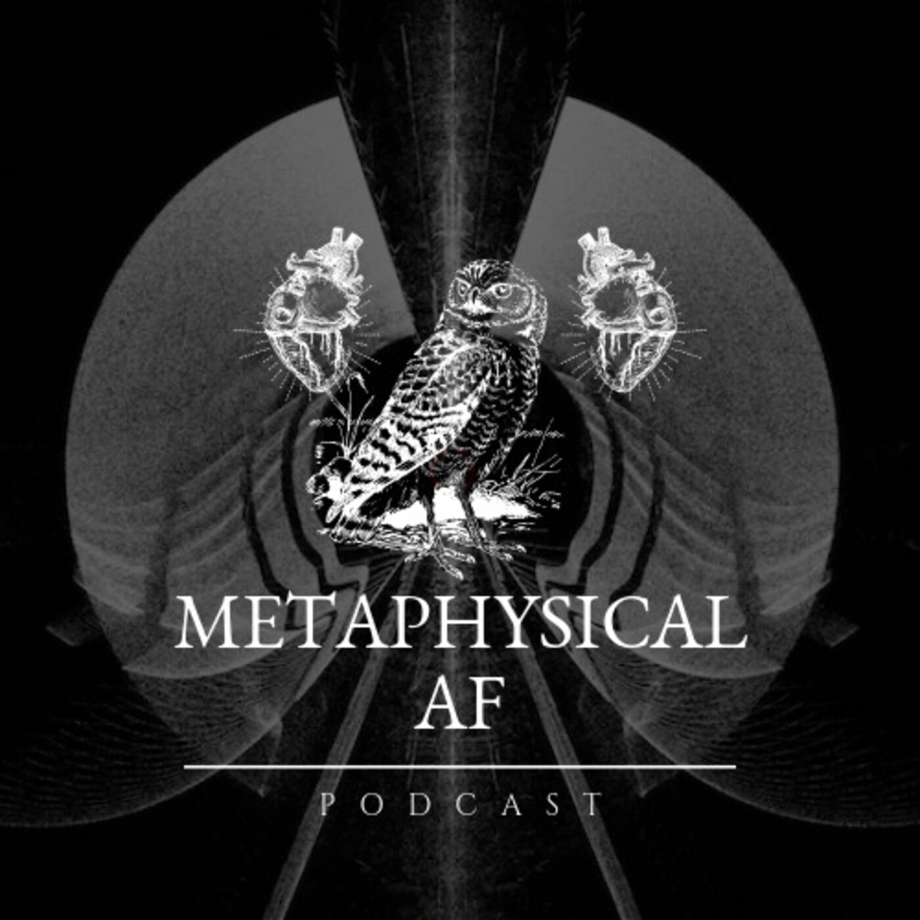 Metaphysical AF with Maggie Wilson