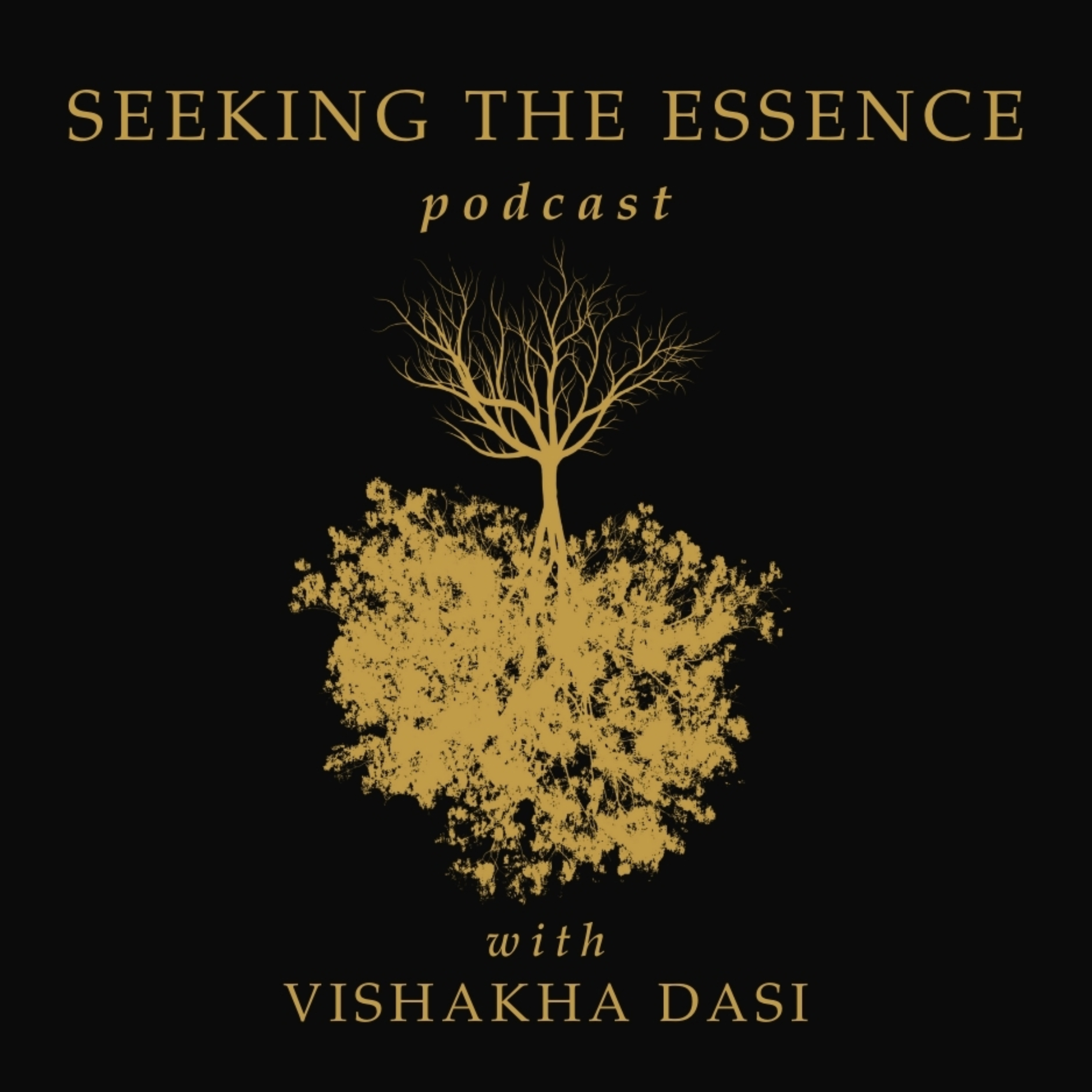 SEEKING THE ESSENCE podcast