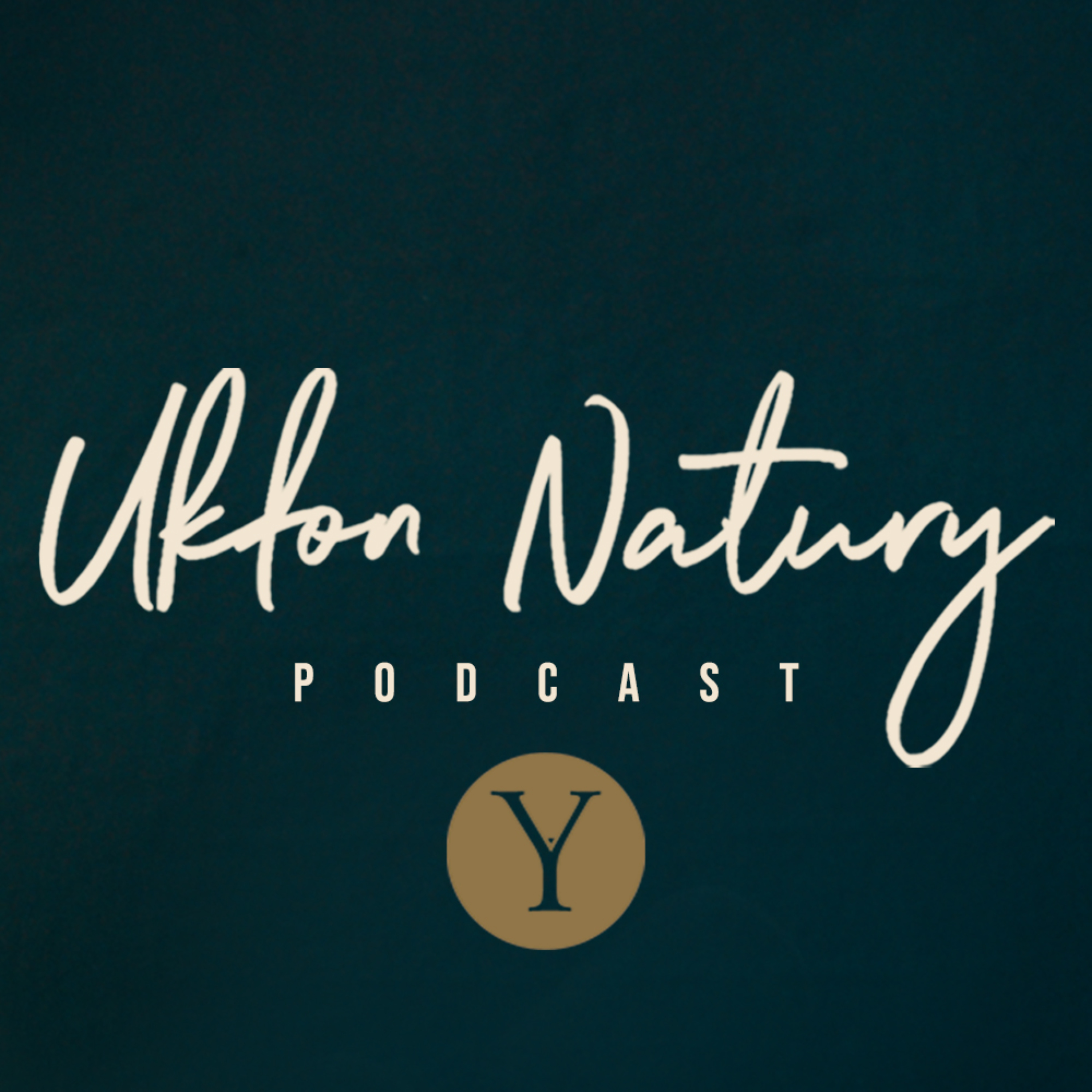 Podcast Image
