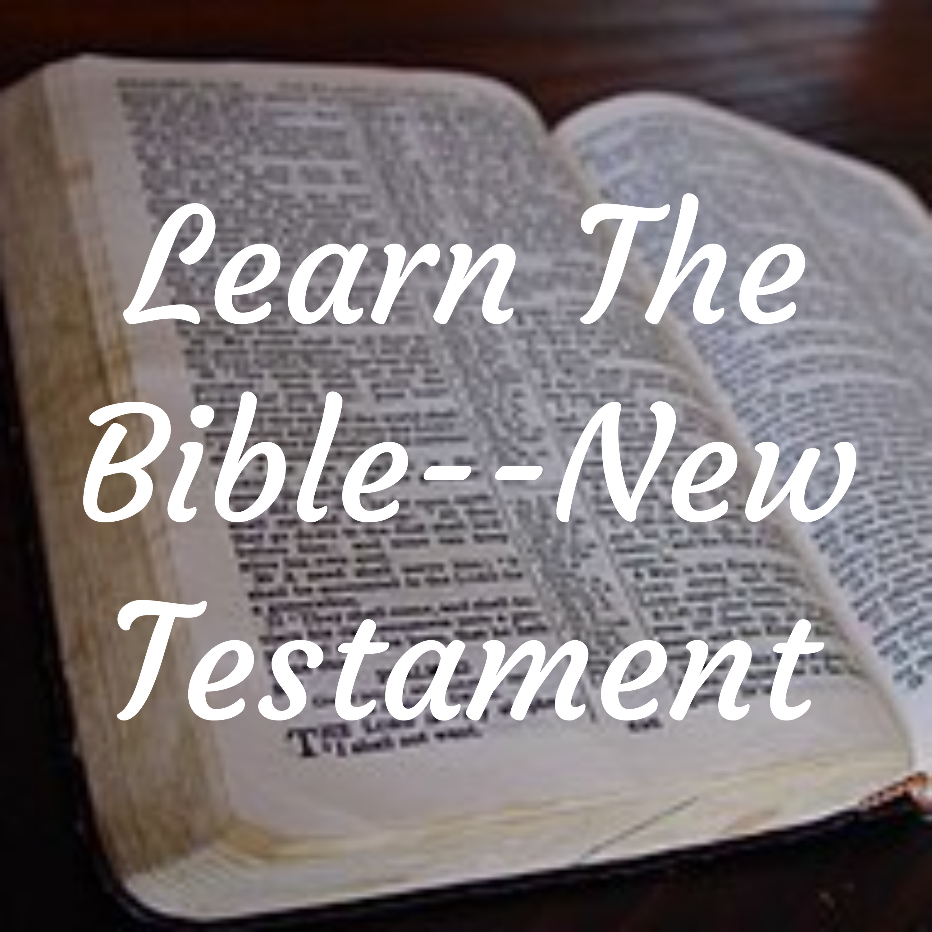 Learn The Bible--New Testament