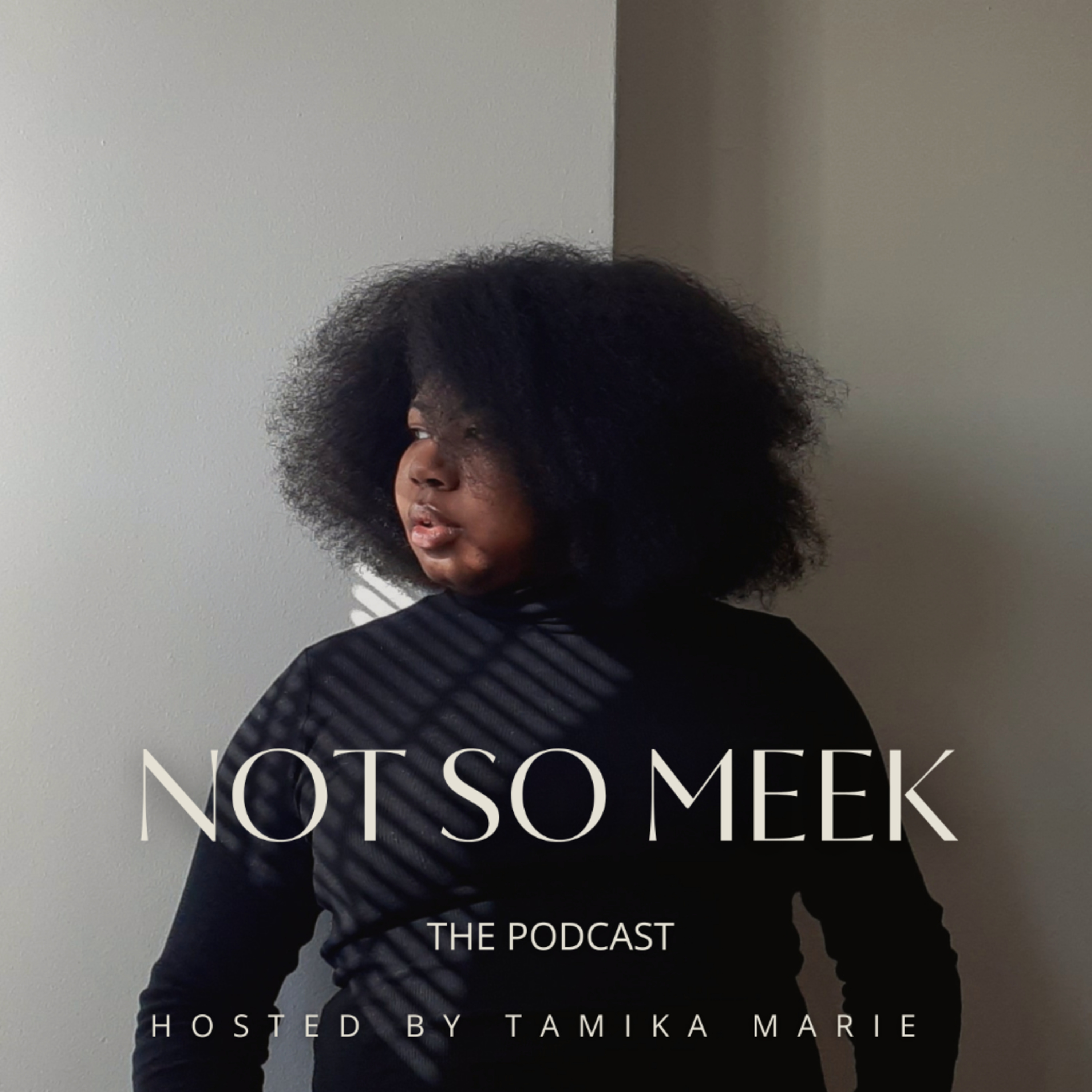Not So Meek, The Podcast podcast artwork