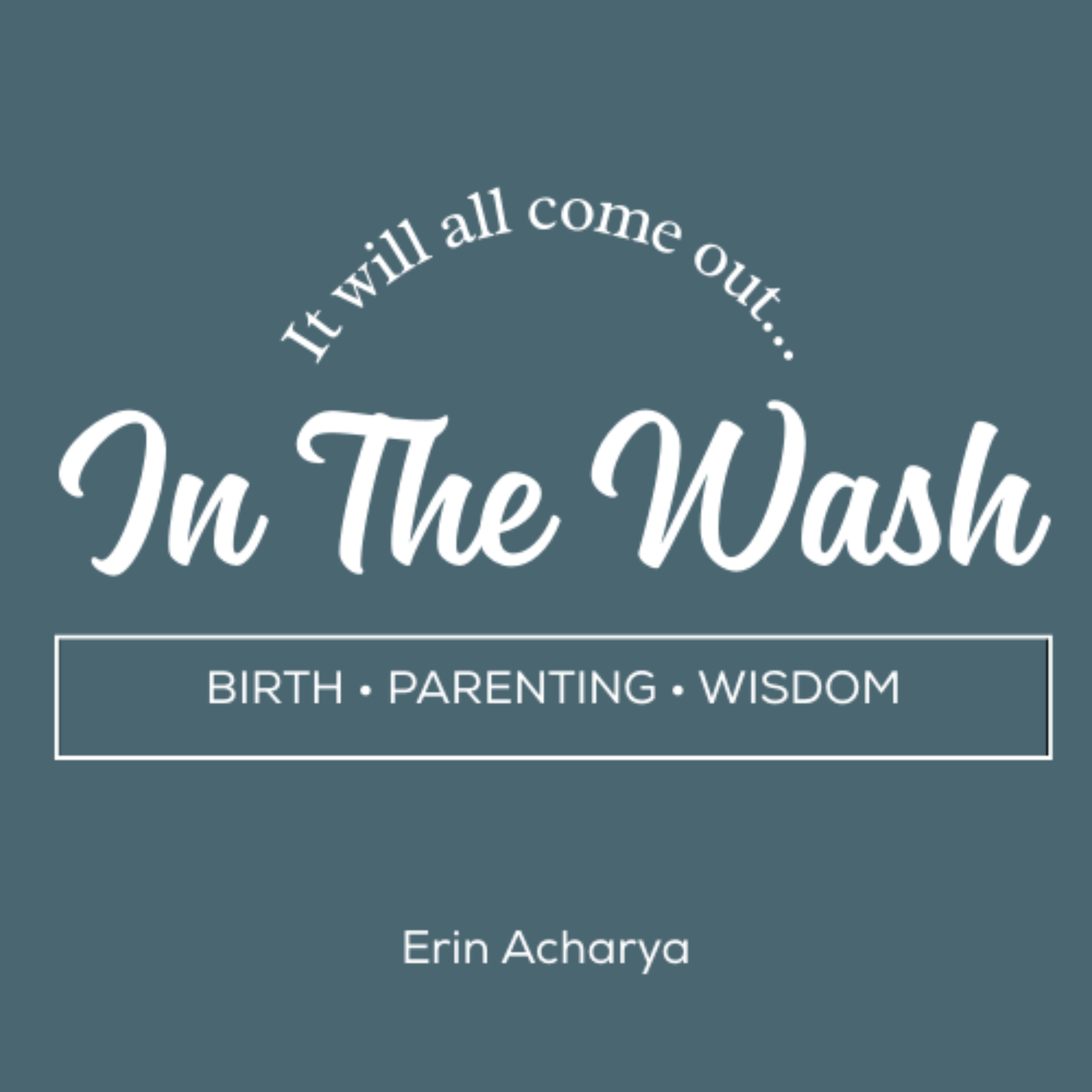 In the Wash podcast artwork