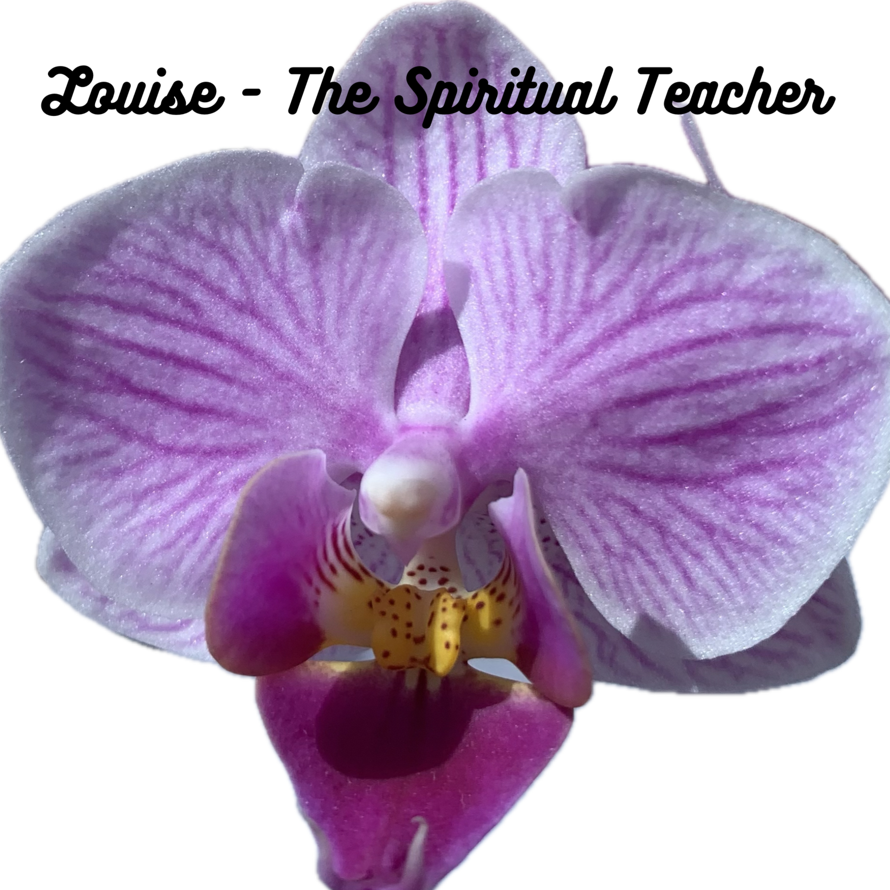 Louise - The Spiritual Teacher