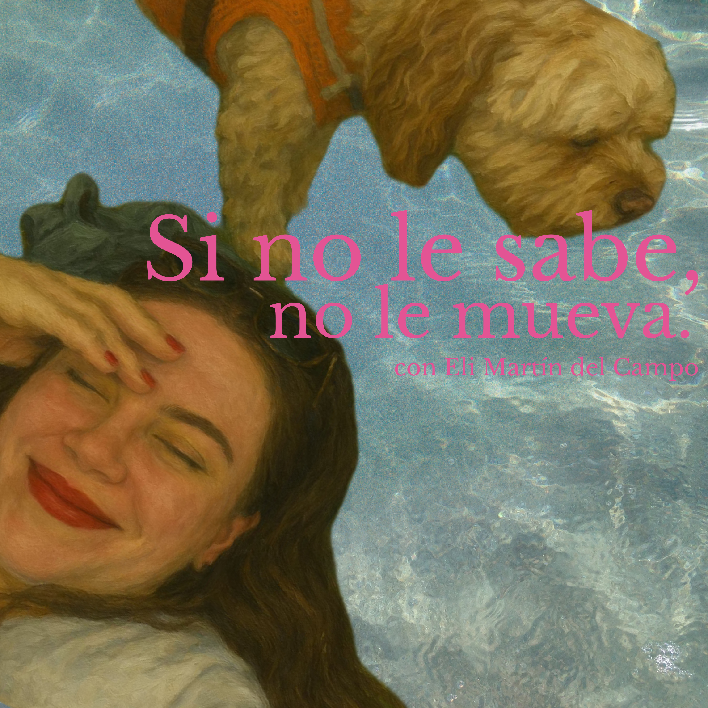 Si no le sabe, no le mueva.