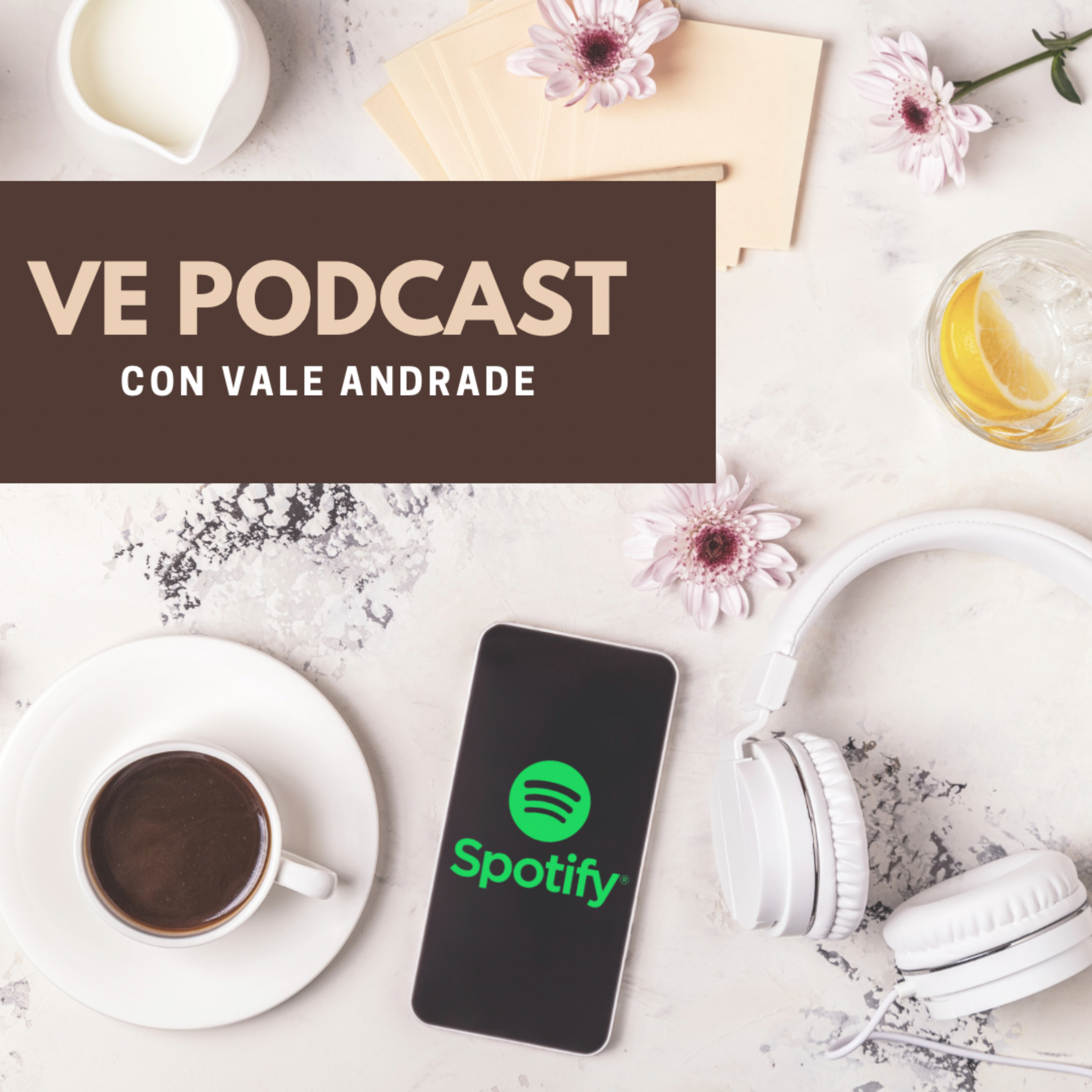 VE Podcast