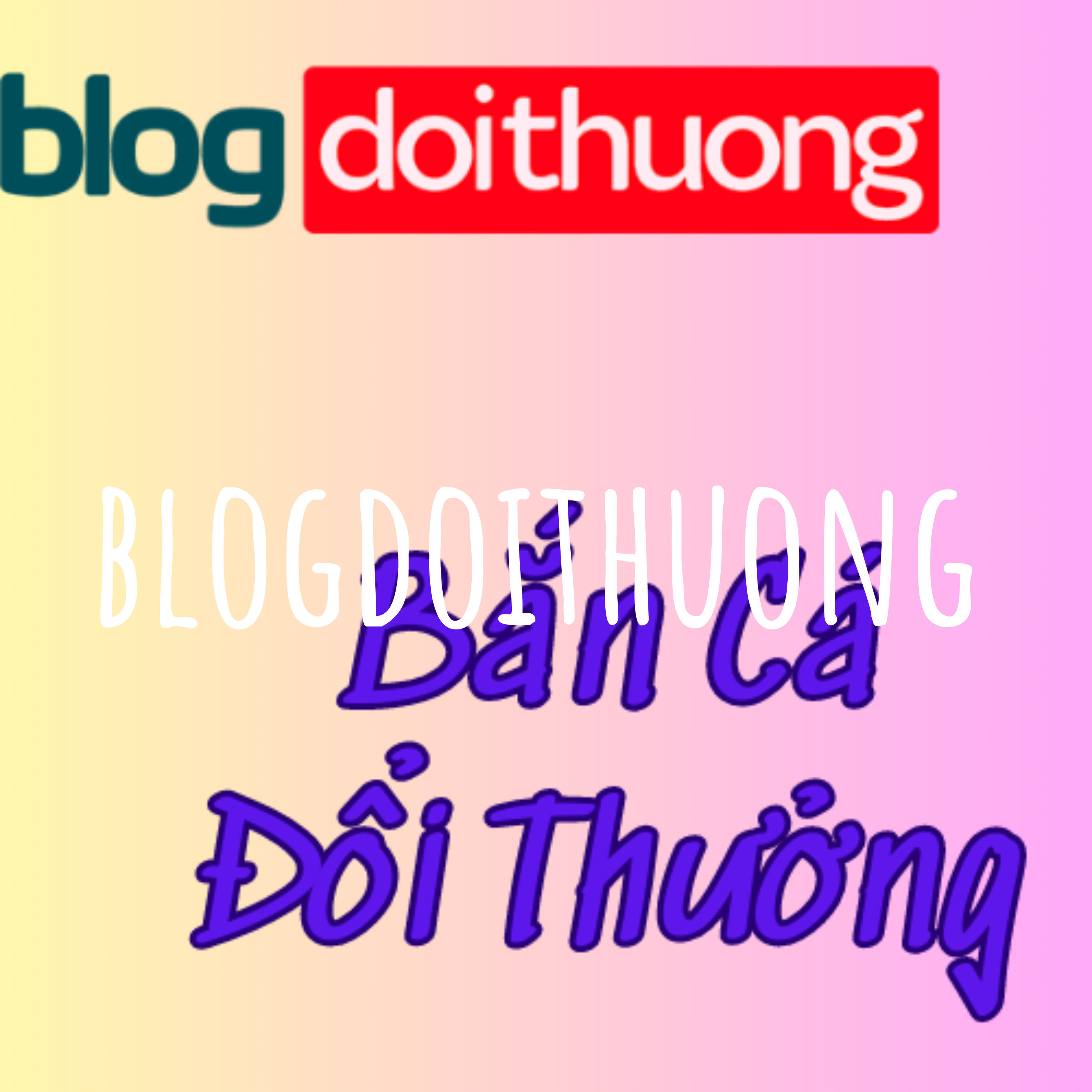 blogdoithuong247
