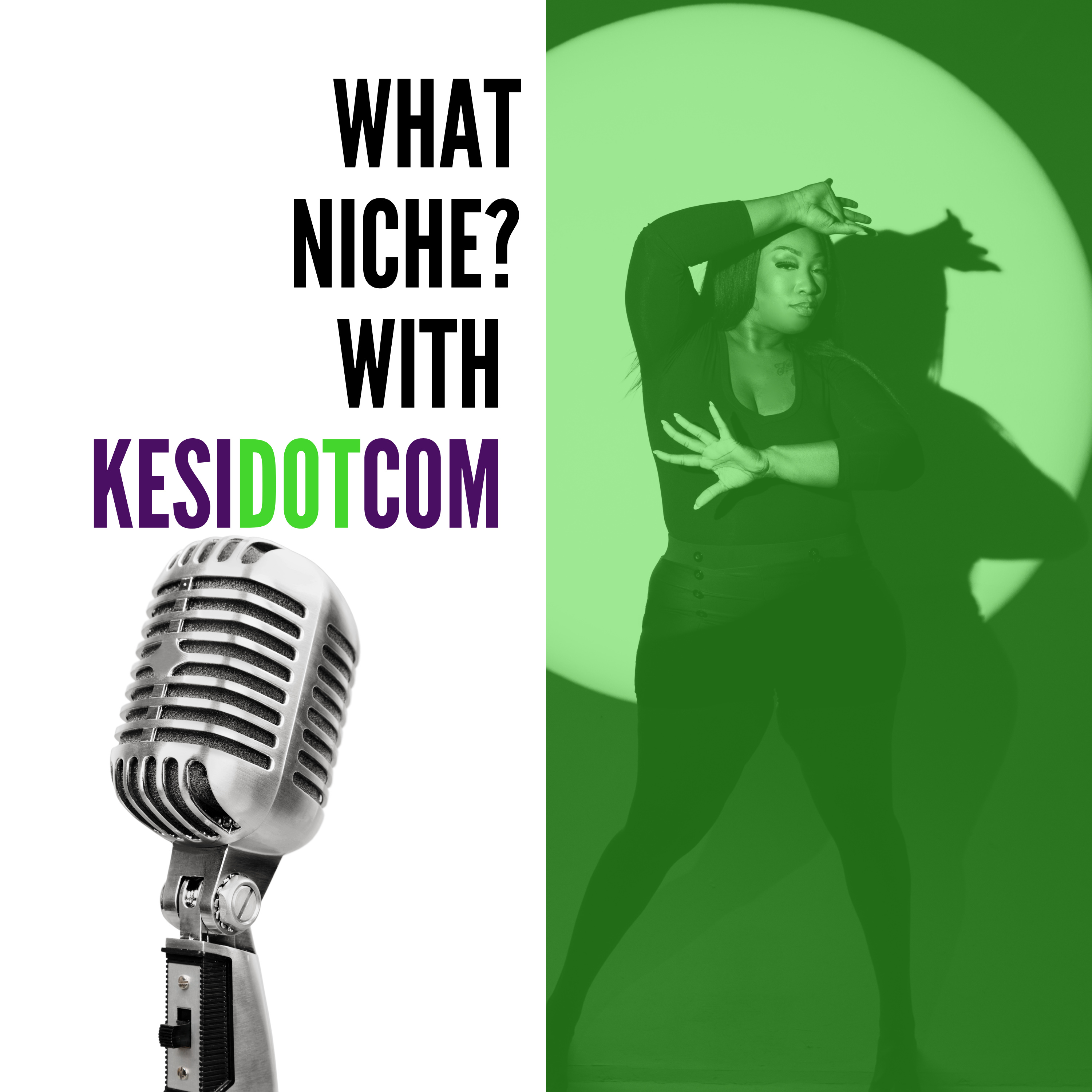 What Niche? podcast artwork