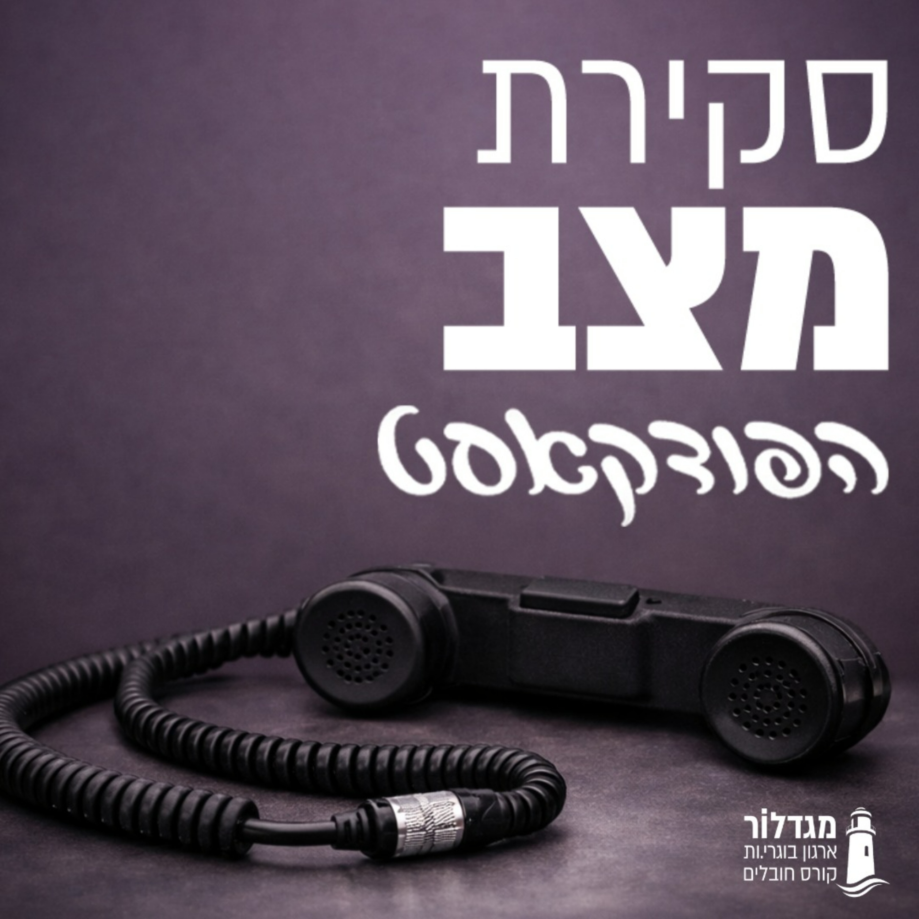 סקירת מצב