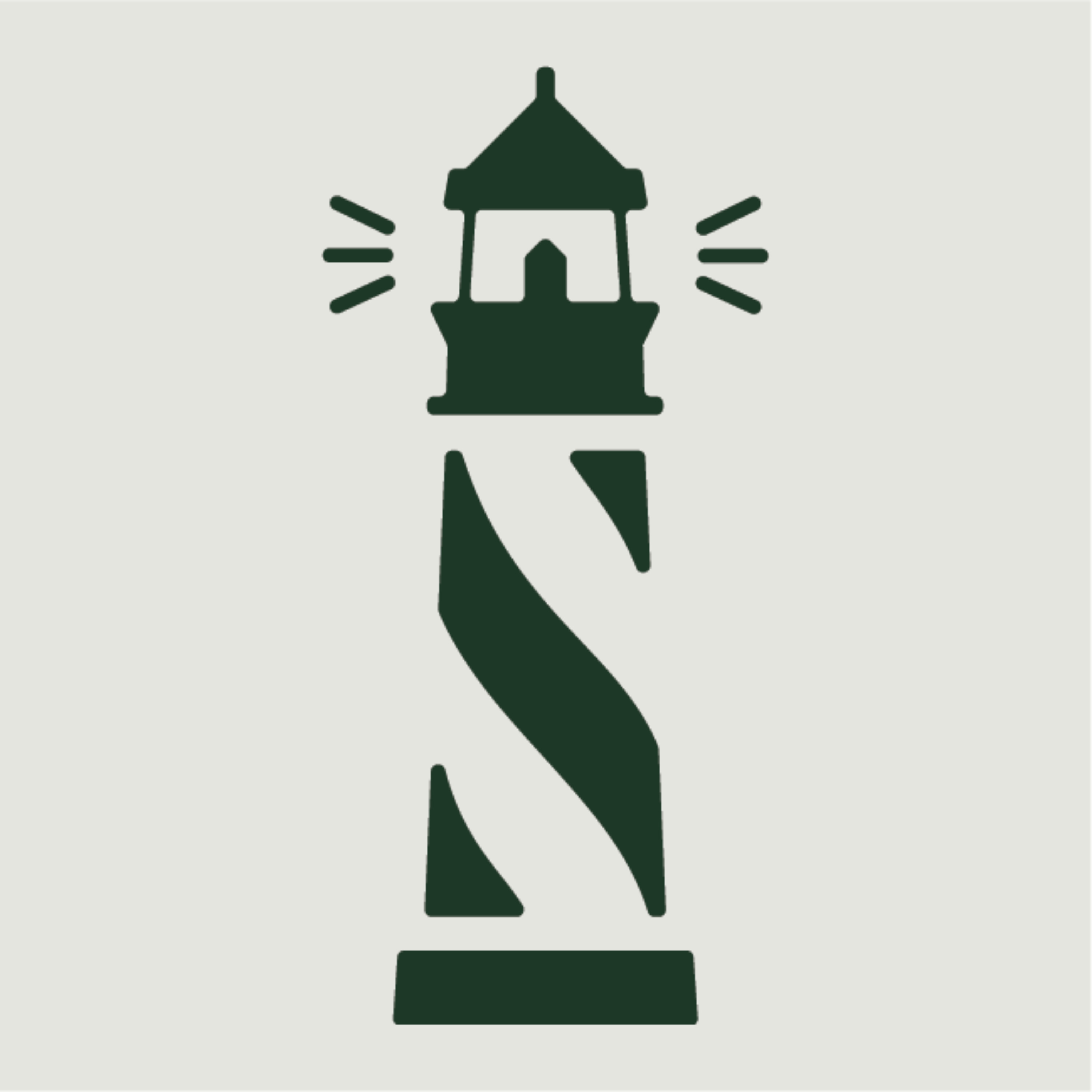 The Navigator cover