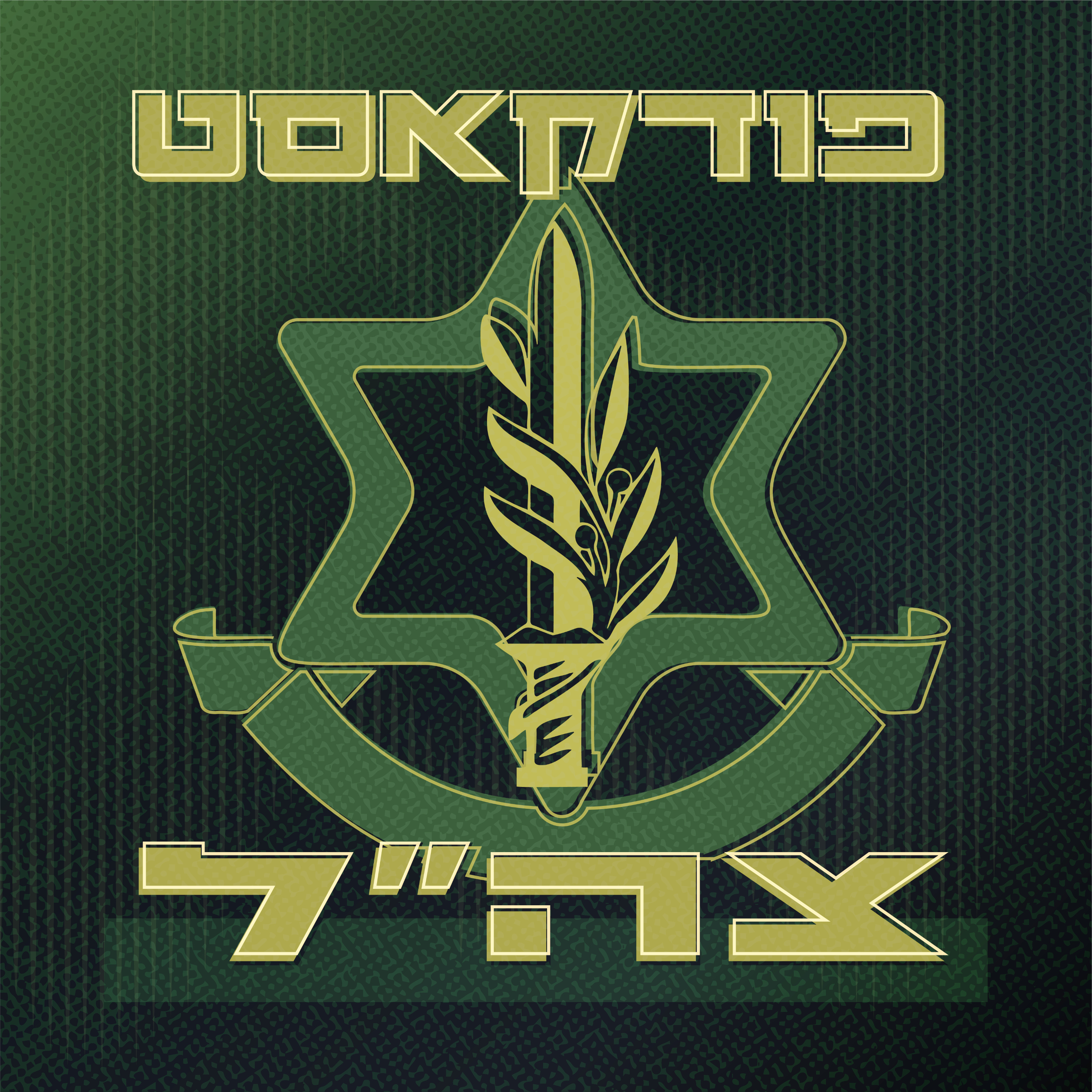 איך נראה שת"פ אוויר-קרקע בזמן המלחמה?
