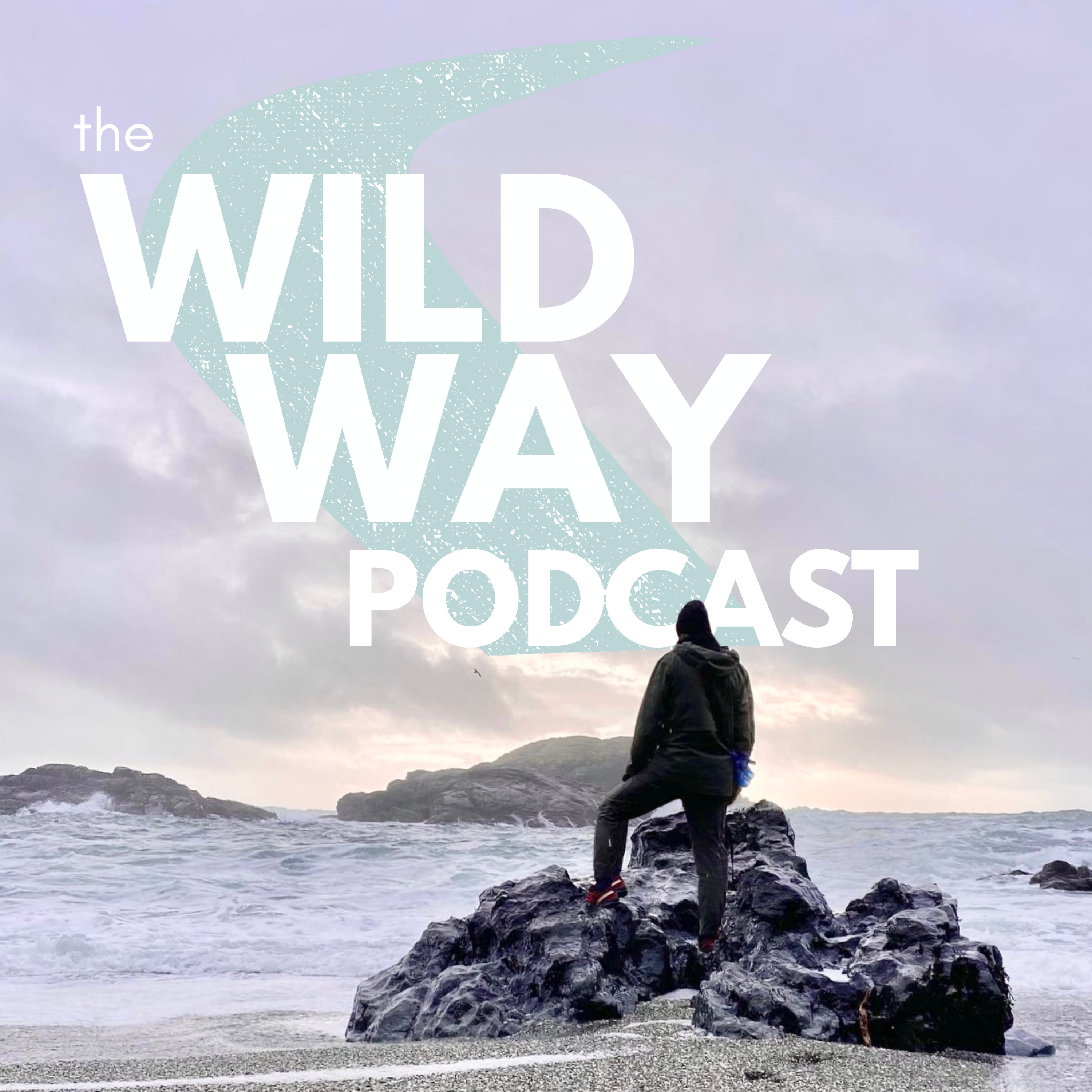 LS 36: Series recap, listener emails, and what's coming up episode artwork