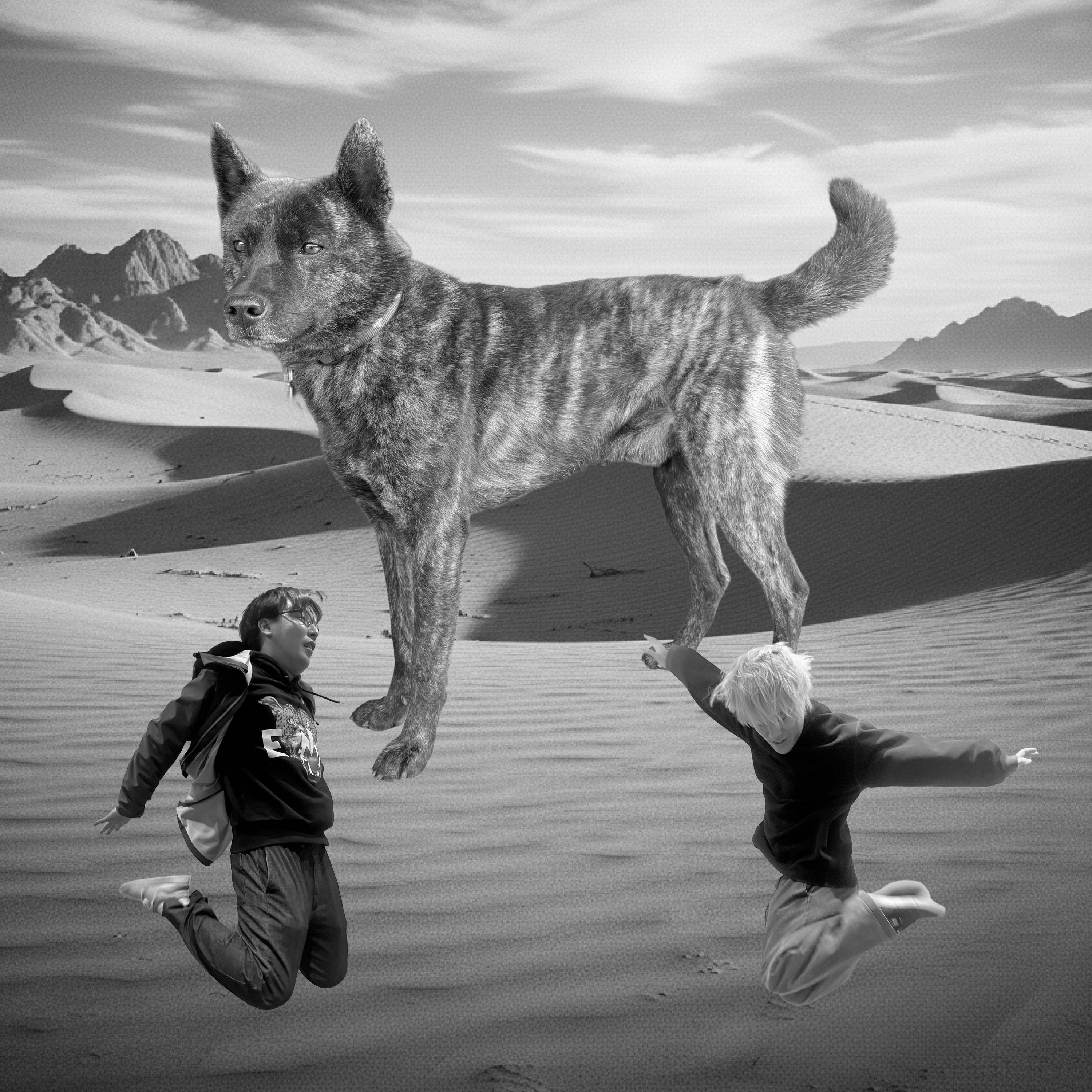 イヌよ、どこへ行く？