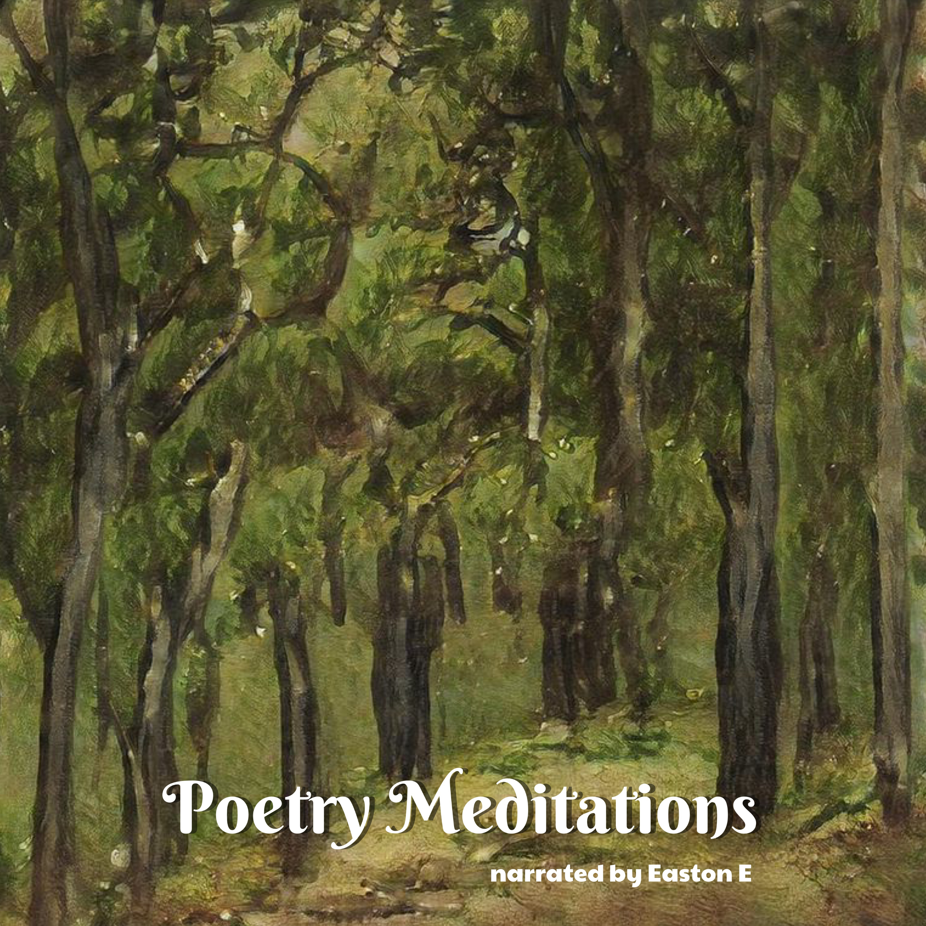Poetry Meditations