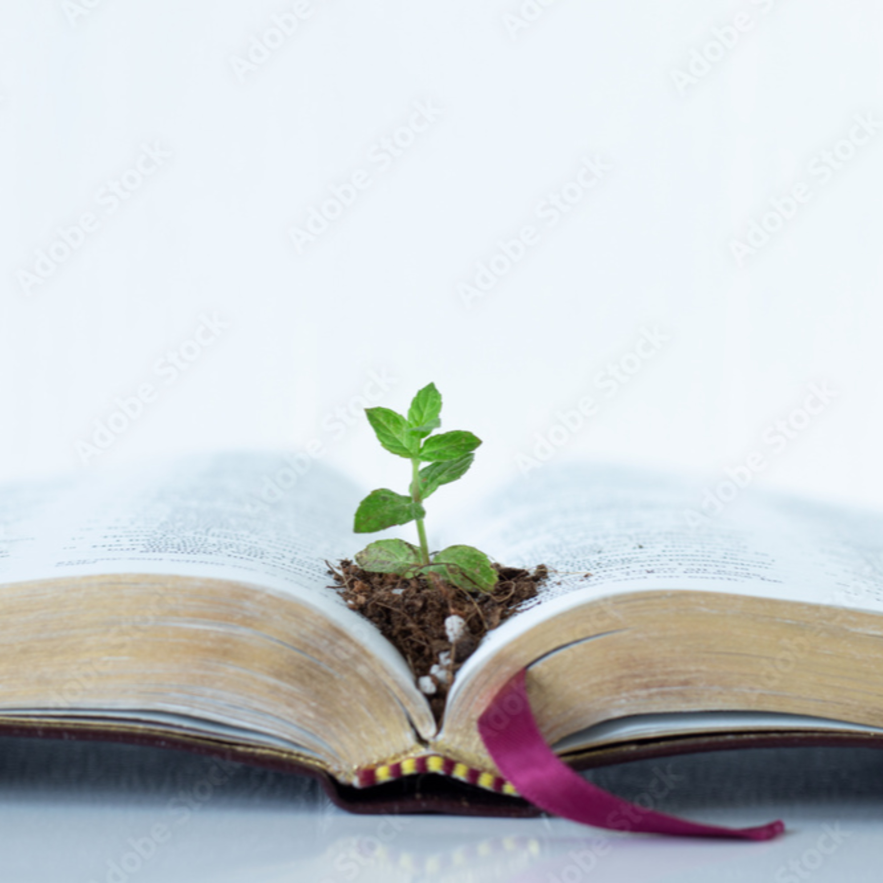 ReaLife Spiritual Empowerment